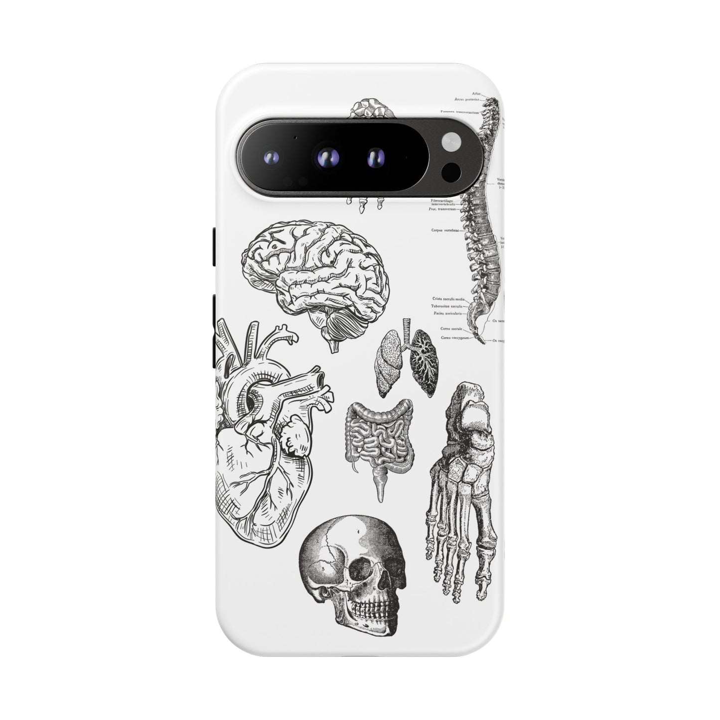 Anatomical Phone Case - Vintage Medical Illustration Case - Science Gift - Custom Medical Phone Cover - Custom Phone Cover - Medical Student