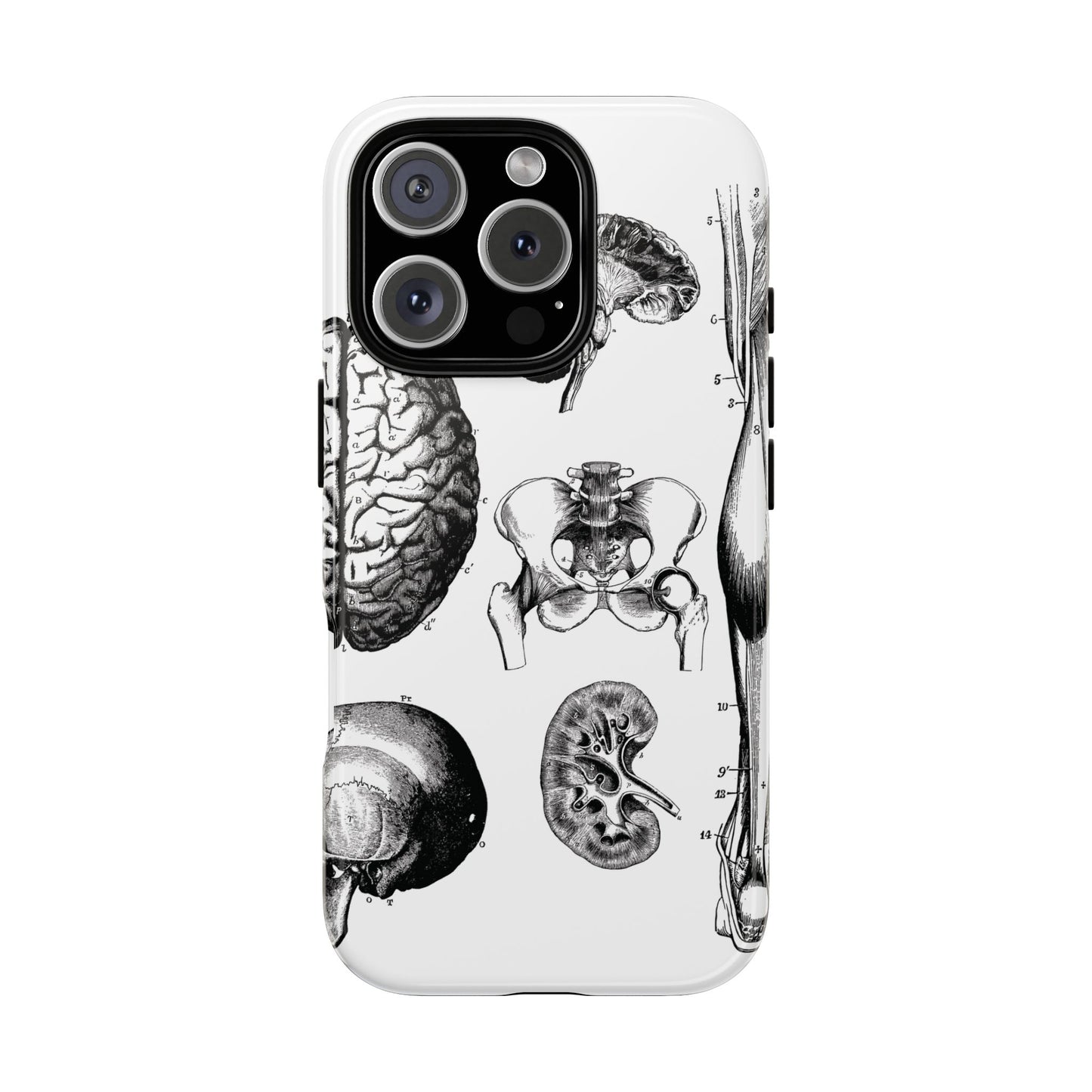 Vintage Anatomy Phone Case - Medical Sketch Design - Custom iPhone, Samsung & Pixel Cover - Science Gift - Doctor Aesthetic - Anatomy case