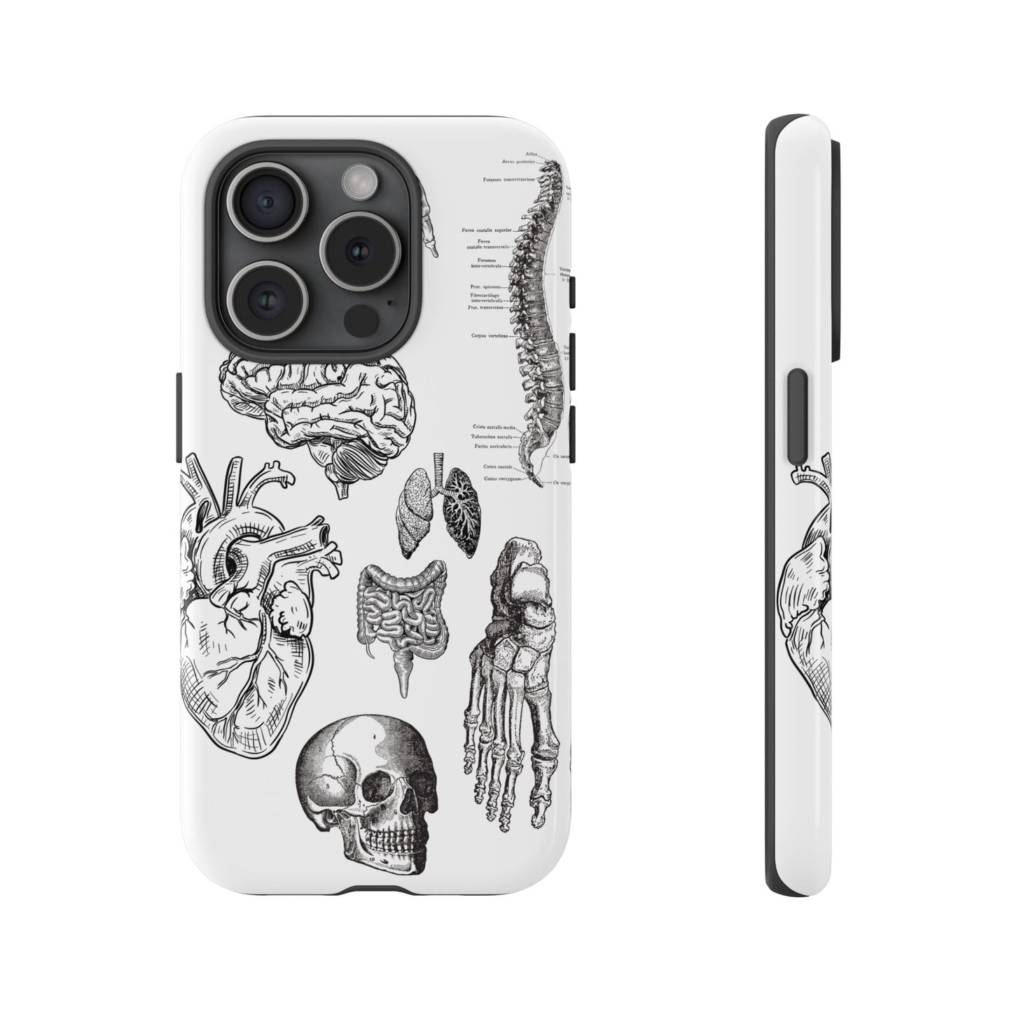 Anatomical Phone Case - Vintage Medical Illustration Case - Science Gift - Custom Medical Phone Cover - Custom Phone Cover - Medical Student