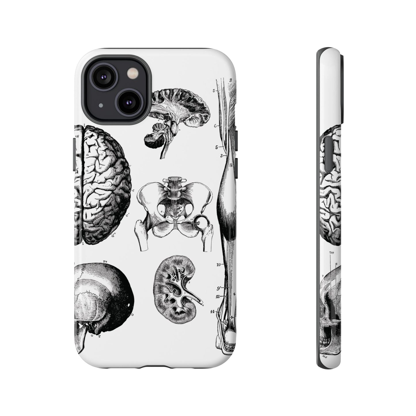 Vintage Anatomy Phone Case - Medical Sketch Design - Custom iPhone, Samsung & Pixel Cover - Science Gift - Doctor Aesthetic - Anatomy case