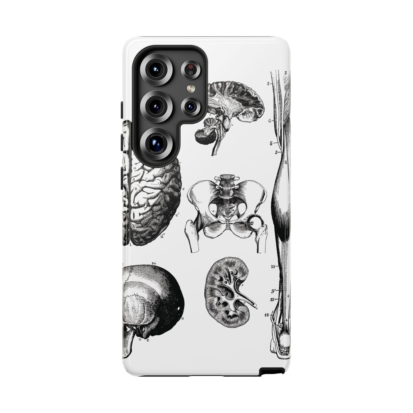 Vintage Anatomy Phone Case - Medical Sketch Design - Custom iPhone, Samsung & Pixel Cover - Science Gift - Doctor Aesthetic - Anatomy case