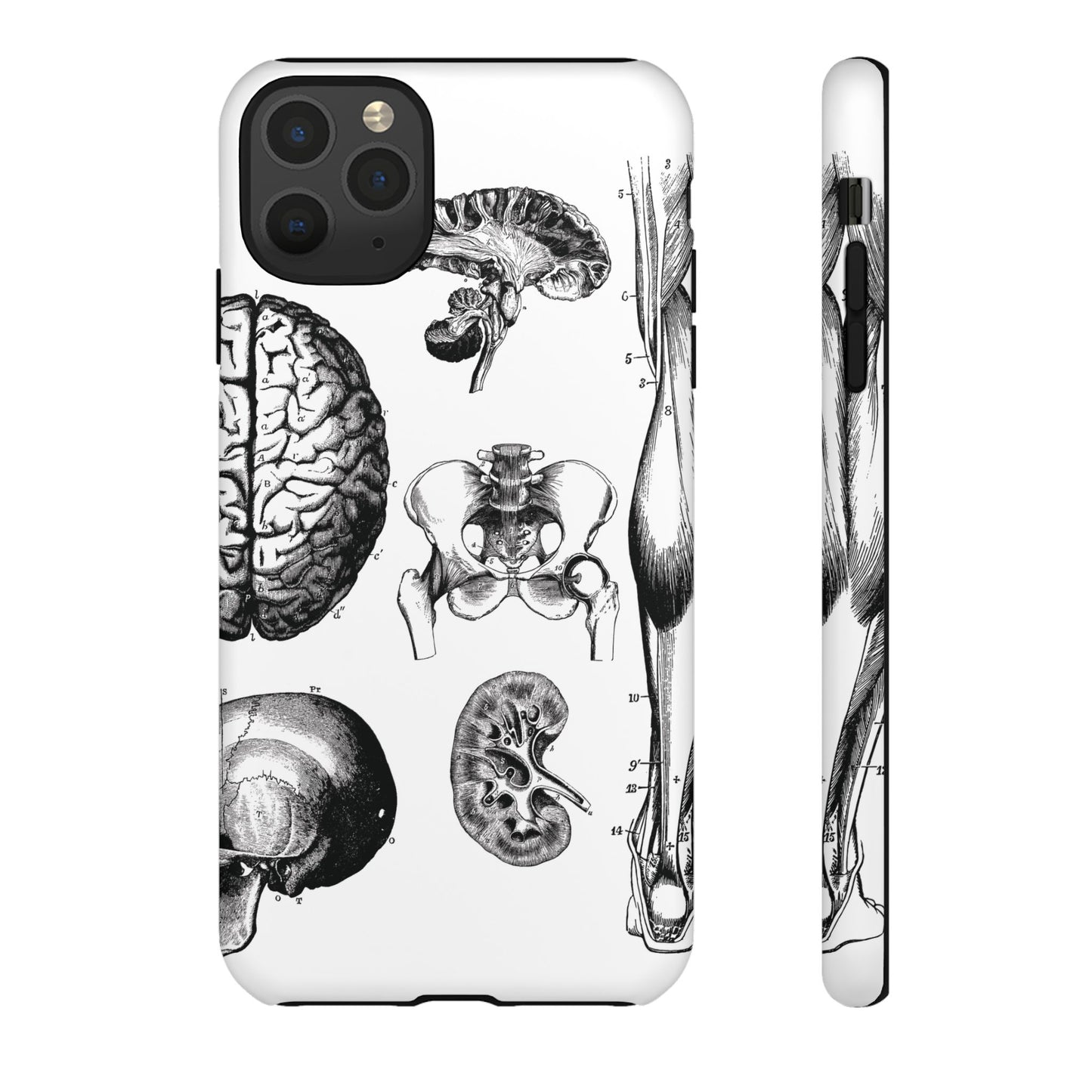 Vintage Anatomy Phone Case - Medical Sketch Design - Custom iPhone, Samsung & Pixel Cover - Science Gift - Doctor Aesthetic - Anatomy case