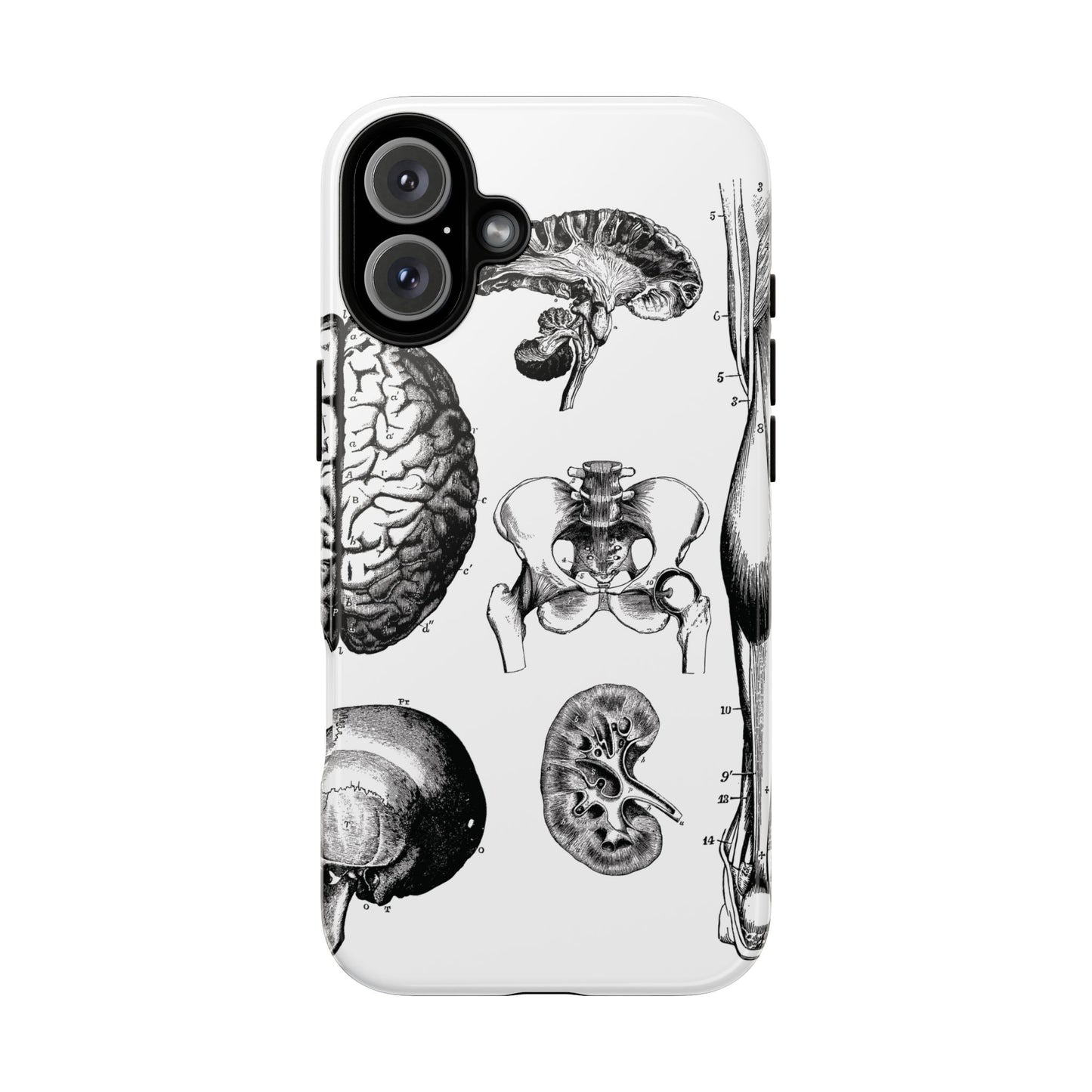 Vintage Anatomy Phone Case - Medical Sketch Design - Custom iPhone, Samsung & Pixel Cover - Science Gift - Doctor Aesthetic - Anatomy case