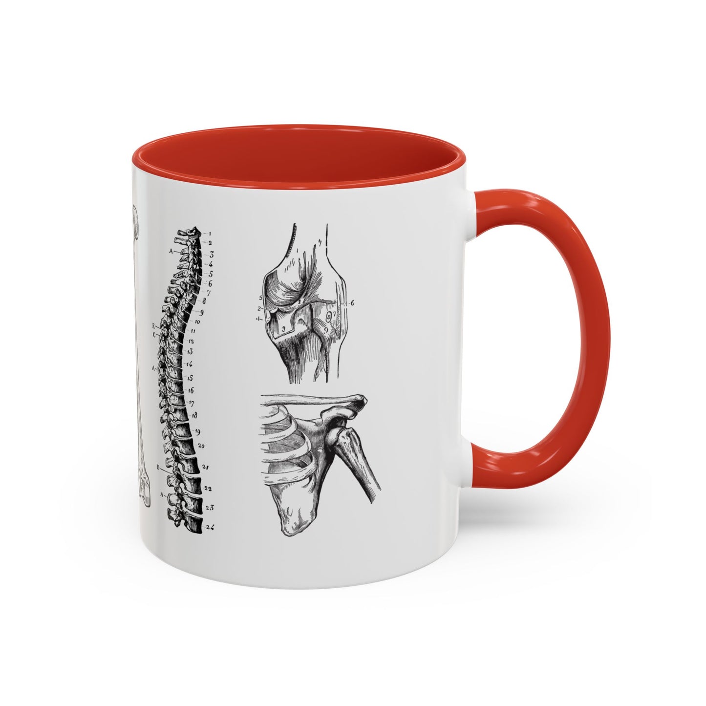 Orthopedic Surgery Mug, Bone Anatomy Coffee Cup, Orthopedist Gift Idea, Medical Anatomy Mug, Doctor Appreciation, Healthcare Worker Gift