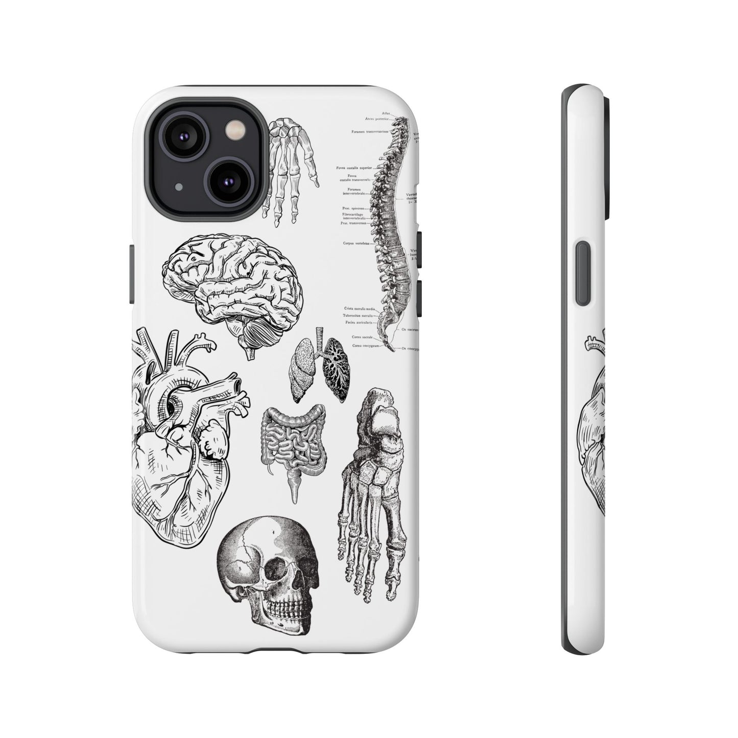 Anatomical Phone Case - Vintage Medical Illustration Case - Science Gift - Custom Medical Phone Cover - Custom Phone Cover - Medical Student
