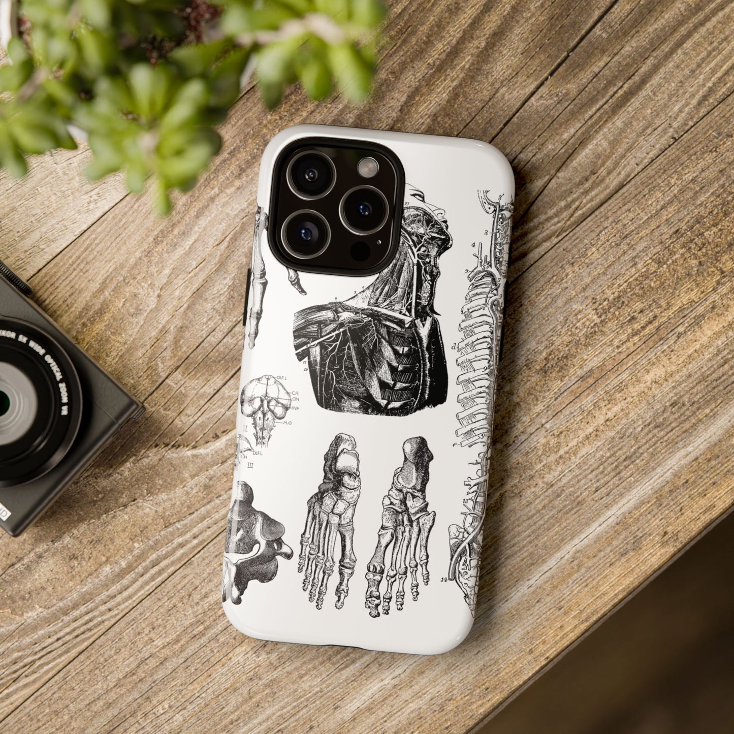 Vintage Anatomy Phone Case - Medical Illustration Design - Custom iPhone, Samsung & Pixel Cover - Science Gift - Doctor Aesthetic - Anatomy