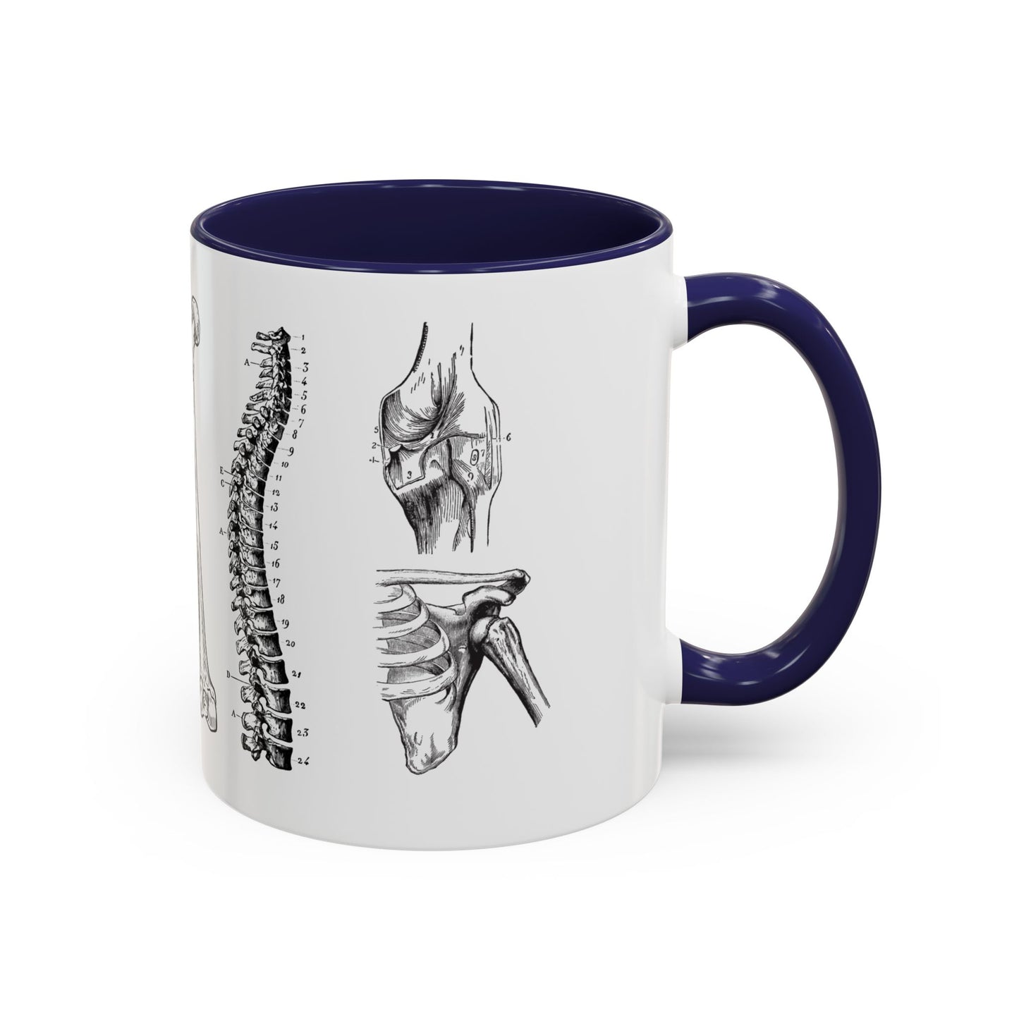 Orthopedic Surgery Mug, Bone Anatomy Coffee Cup, Orthopedist Gift Idea, Medical Anatomy Mug, Doctor Appreciation, Healthcare Worker Gift