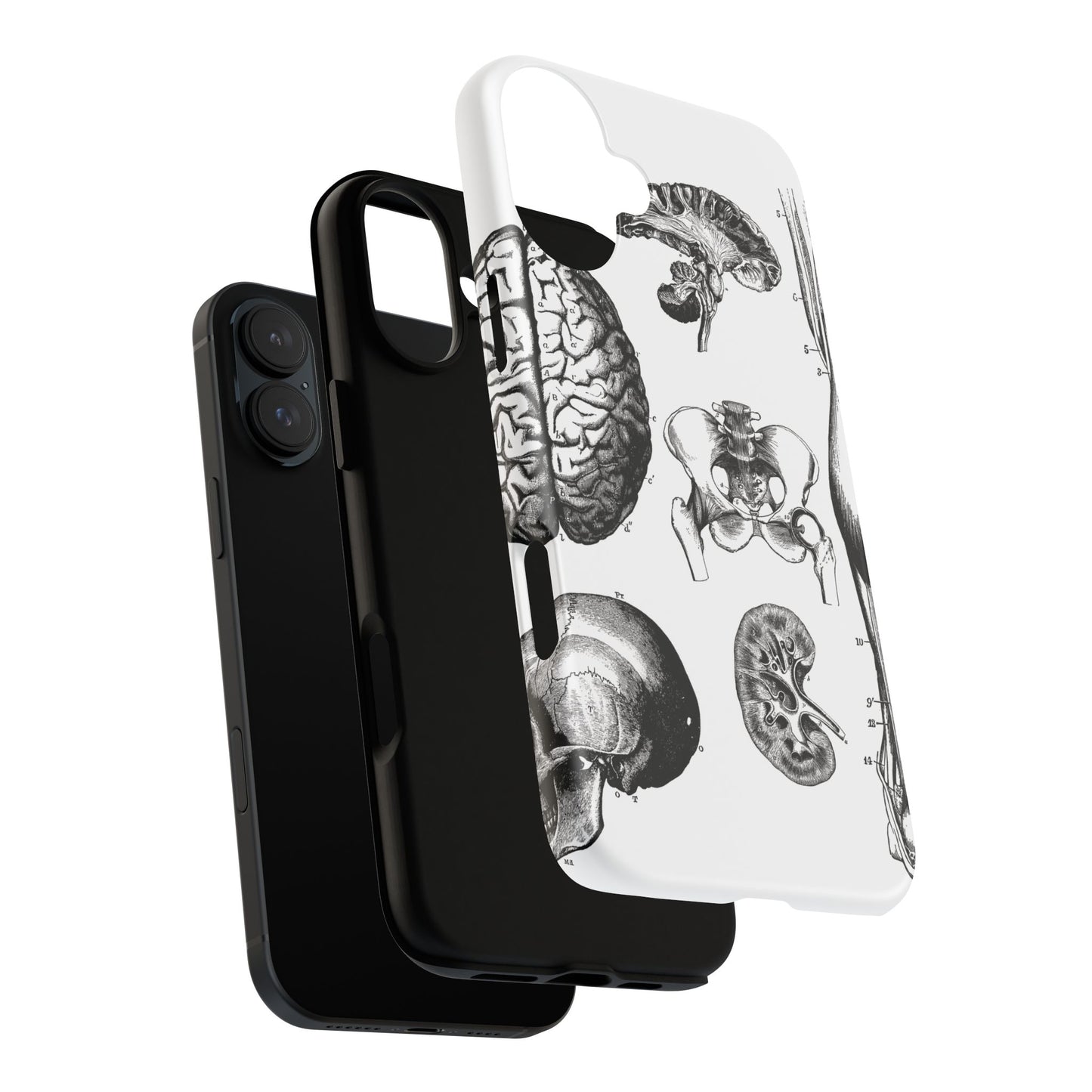 Vintage Anatomy Phone Case - Medical Sketch Design - Custom iPhone, Samsung & Pixel Cover - Science Gift - Doctor Aesthetic - Anatomy case