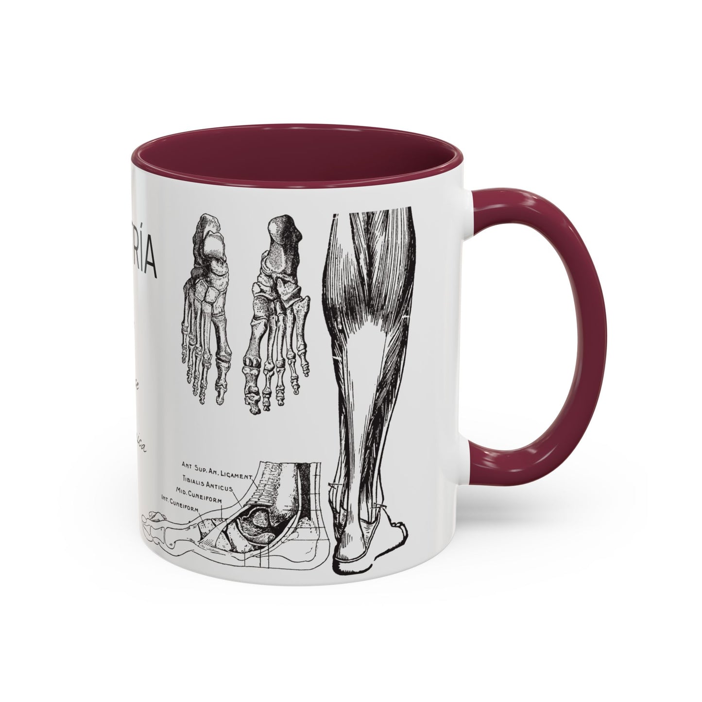 Taza Podología Pie Anatómico, Regalo Podólogo, Taza Anatomía Médica, Taza Doctor, Taza Estudiante Medicina, Personal Sanitario