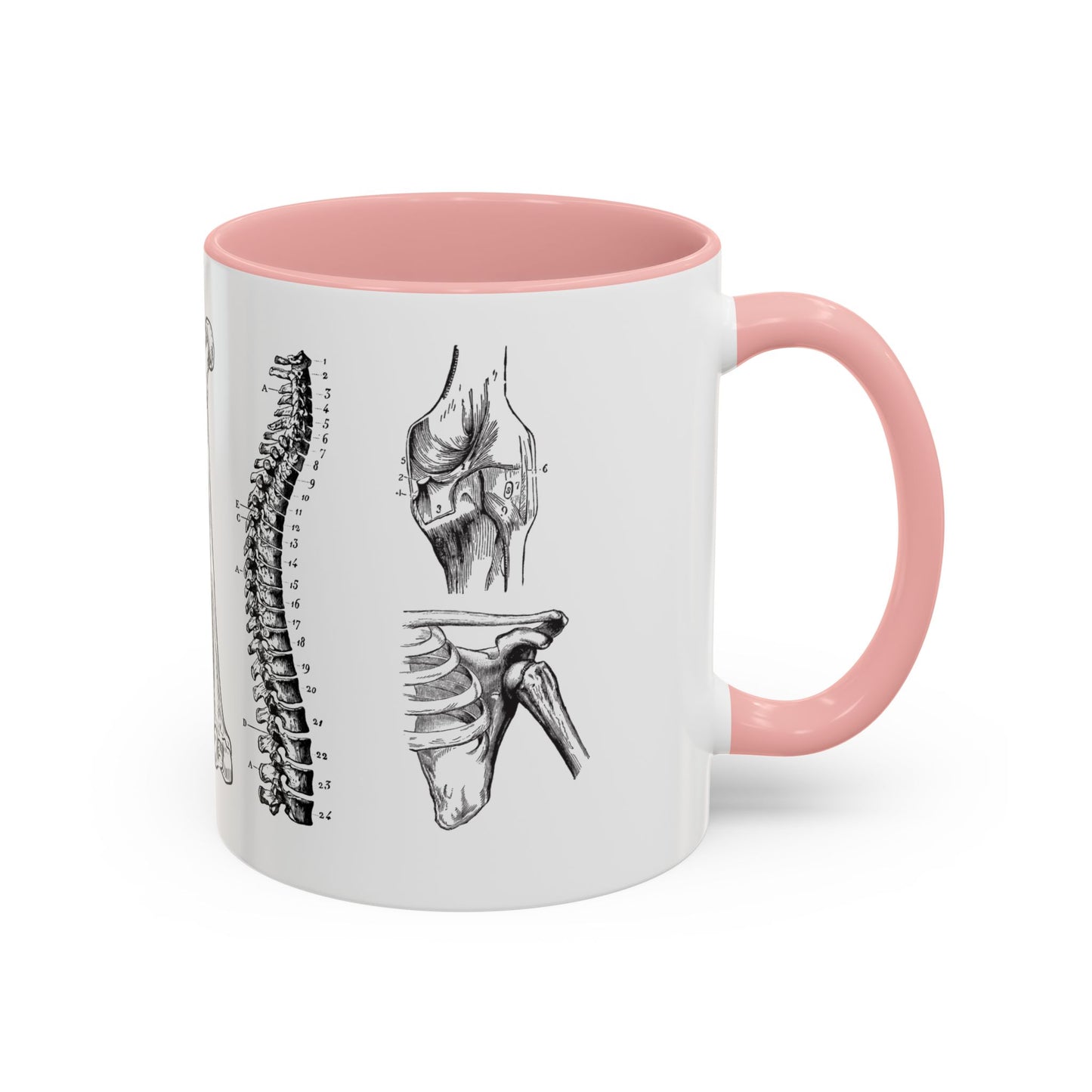 Orthopedic Surgery Mug, Bone Anatomy Coffee Cup, Orthopedist Gift Idea, Medical Anatomy Mug, Doctor Appreciation, Healthcare Worker Gift