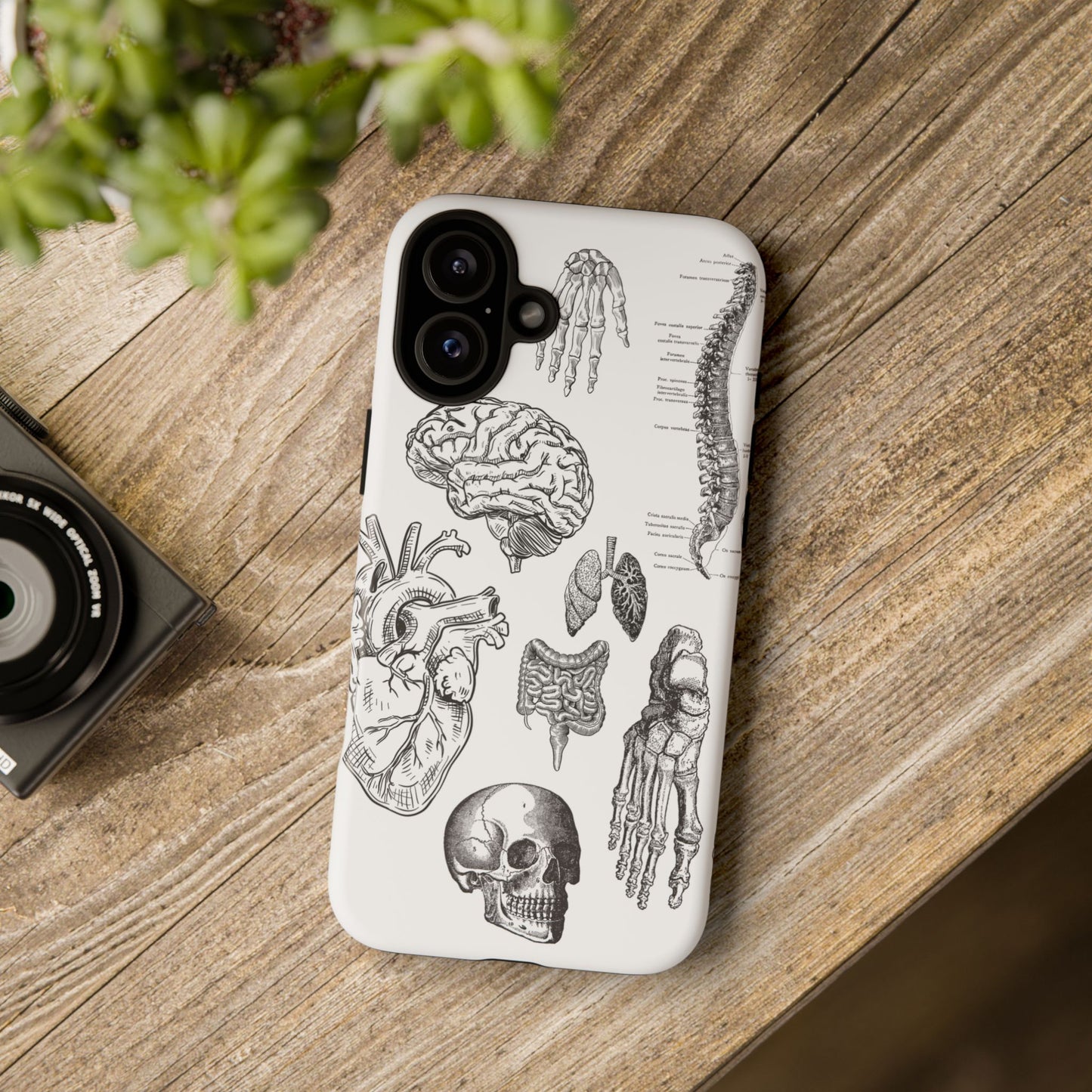 Anatomical Phone Case - Vintage Medical Illustration Case - Science Gift - Custom Medical Phone Cover - Custom Phone Cover - Medical Student