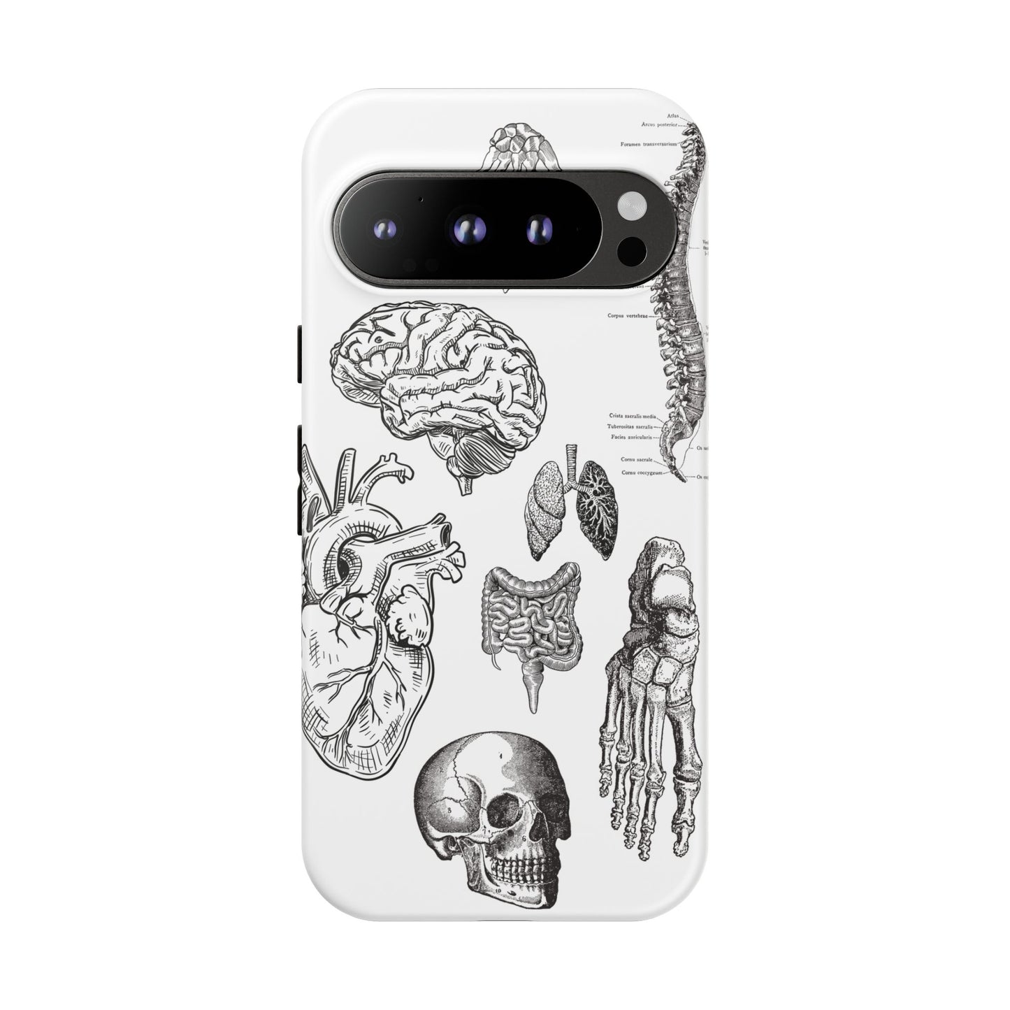 Anatomical Phone Case - Vintage Medical Illustration Case - Science Gift - Custom Medical Phone Cover - Custom Phone Cover - Medical Student