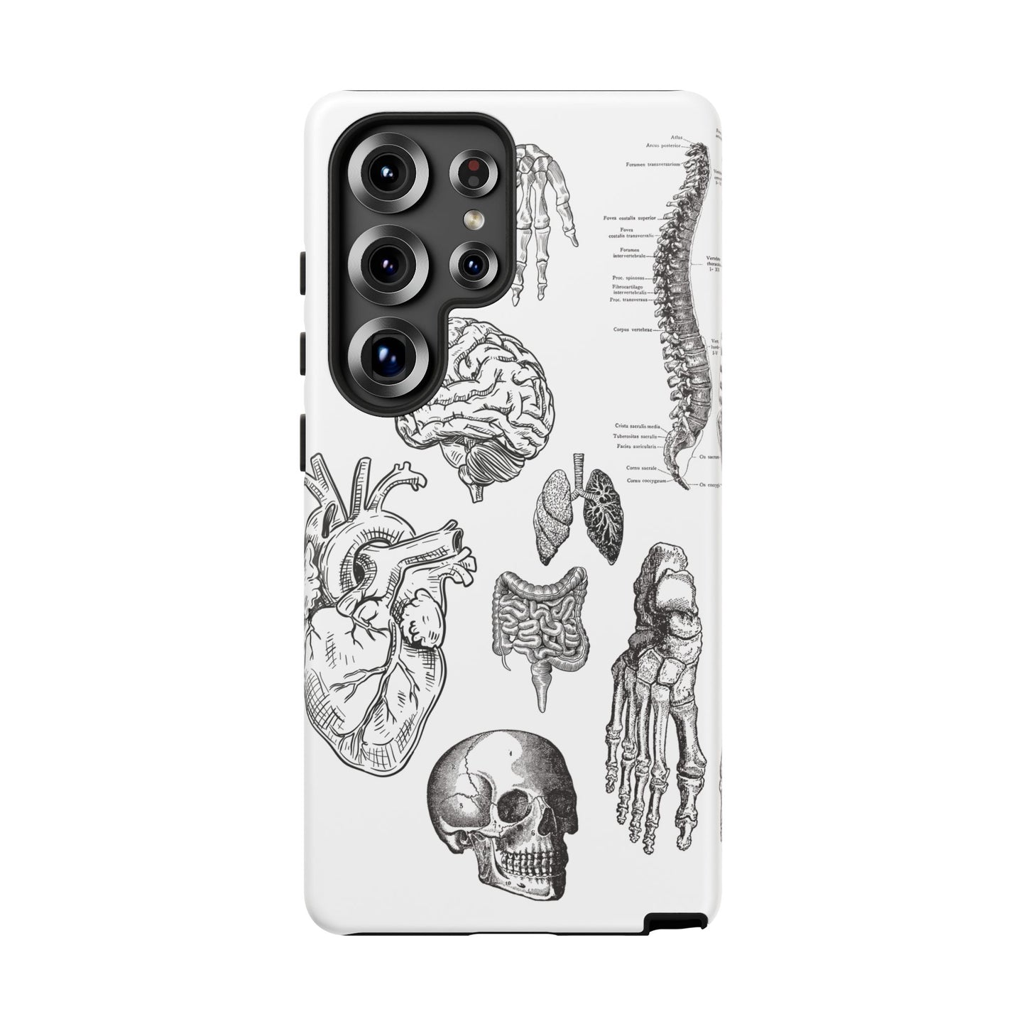Anatomical Phone Case - Vintage Medical Illustration Case - Science Gift - Custom Medical Phone Cover - Custom Phone Cover - Medical Student