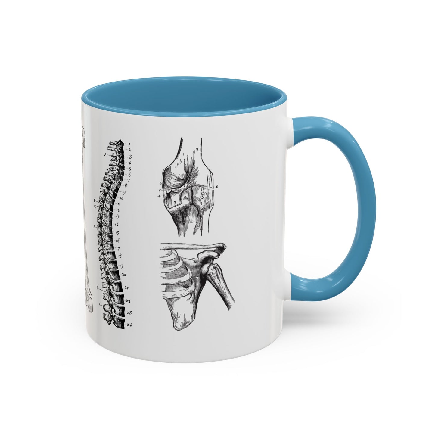 Orthopedic Surgery Mug, Bone Anatomy Coffee Cup, Orthopedist Gift Idea, Medical Anatomy Mug, Doctor Appreciation, Healthcare Worker Gift