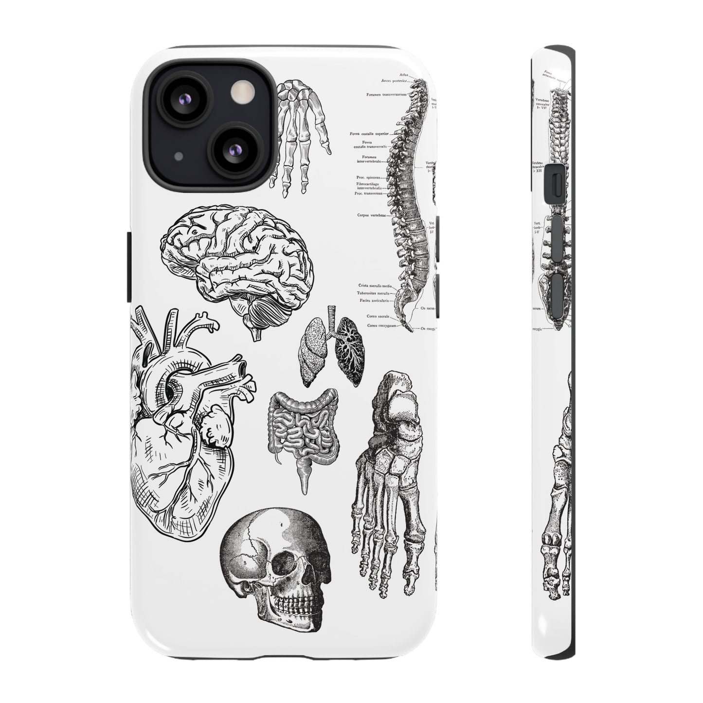 Anatomical Phone Case - Vintage Medical Illustration Case - Science Gift - Custom Medical Phone Cover - Custom Phone Cover - Medical Student