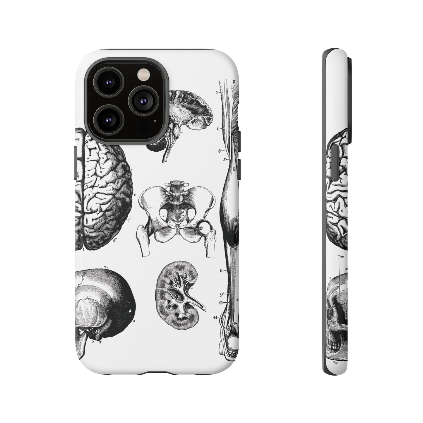 Vintage Anatomy Phone Case - Medical Sketch Design - Custom iPhone, Samsung & Pixel Cover - Science Gift - Doctor Aesthetic - Anatomy case