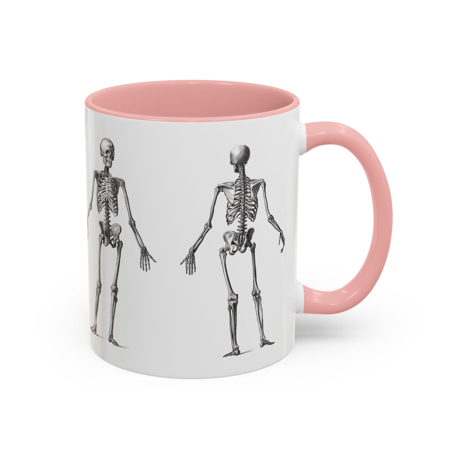 Anatomy Skeleton Accent Coffee Mug, Medical Student Doctor Nurse Gift, Anatomical Diagram, Halloween Mug, Biology Teacher Gift,