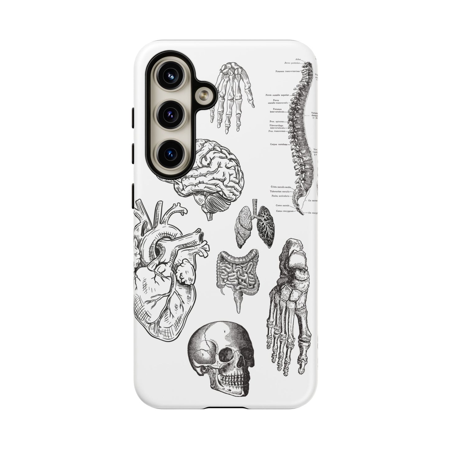 Anatomical Phone Case - Vintage Medical Illustration Case - Science Gift - Custom Medical Phone Cover - Custom Phone Cover - Medical Student