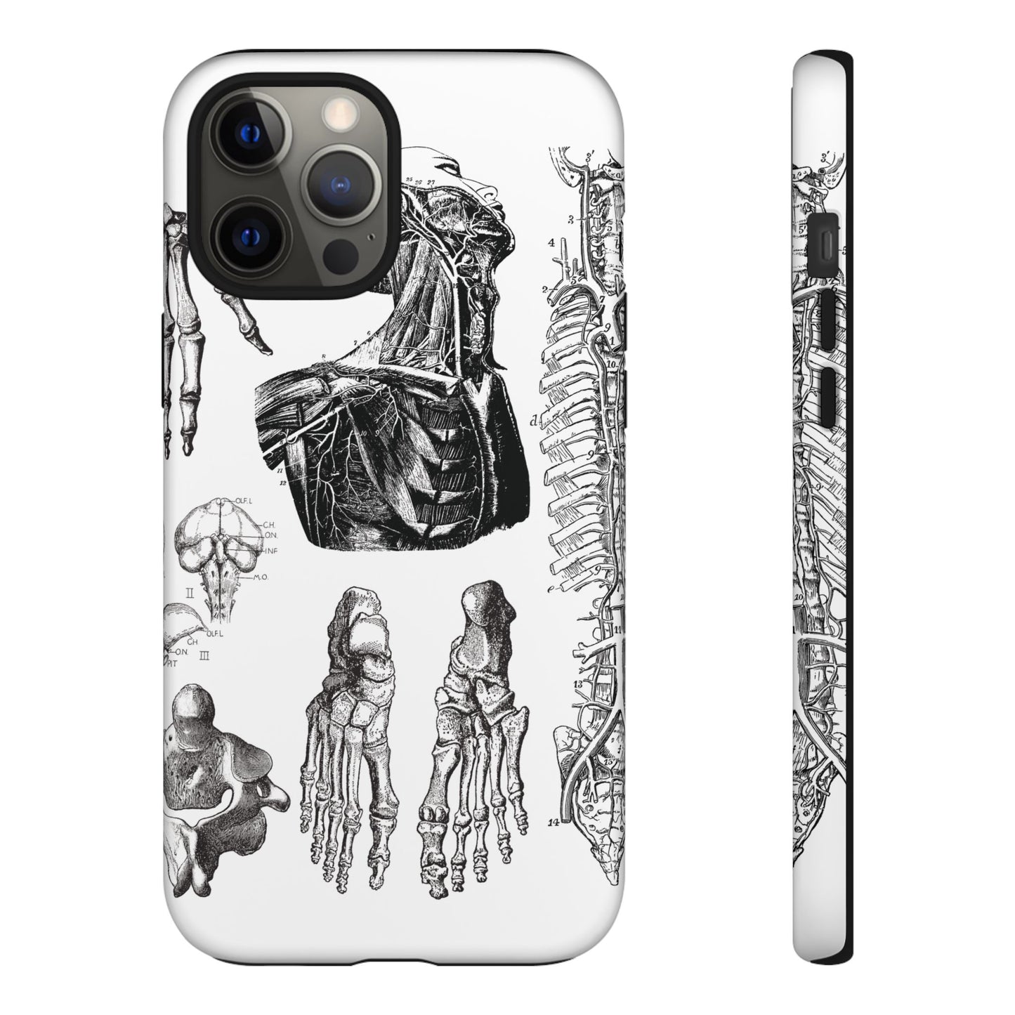 Vintage Anatomy Phone Case - Medical Illustration Design - Custom iPhone, Samsung & Pixel Cover - Science Gift - Doctor Aesthetic - Anatomy