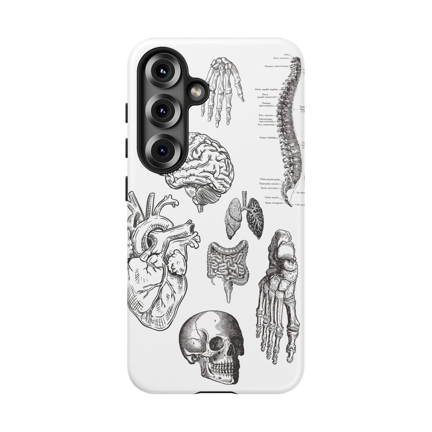 Anatomical Phone Case - Vintage Medical Illustration Case - Science Gift - Custom Medical Phone Cover - Custom Phone Cover - Medical Student