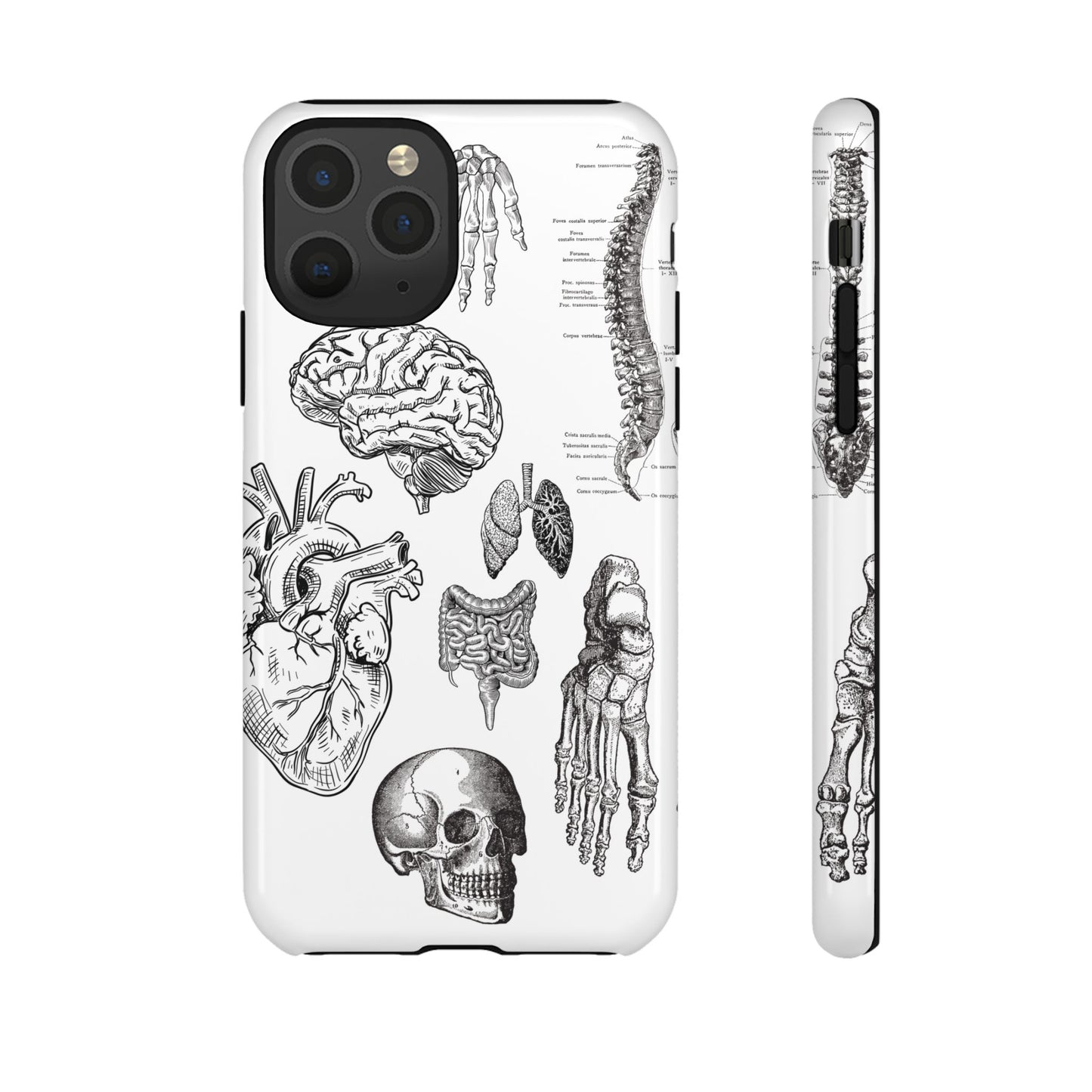 Anatomical Phone Case - Vintage Medical Illustration Case - Science Gift - Custom Medical Phone Cover - Custom Phone Cover - Medical Student