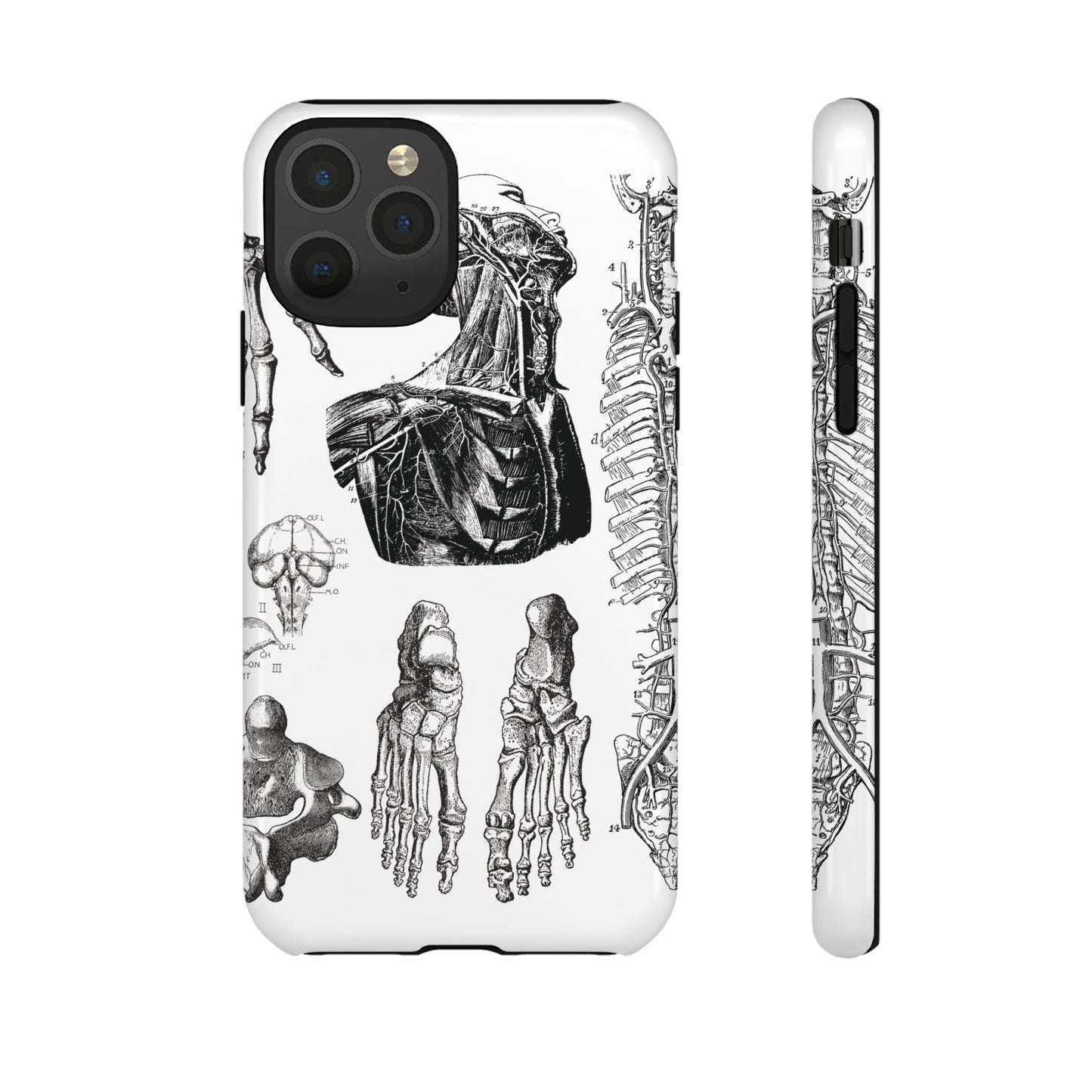 Vintage Anatomy Phone Case - Medical Illustration Design - Custom iPhone, Samsung & Pixel Cover - Science Gift - Doctor Aesthetic - Anatomy