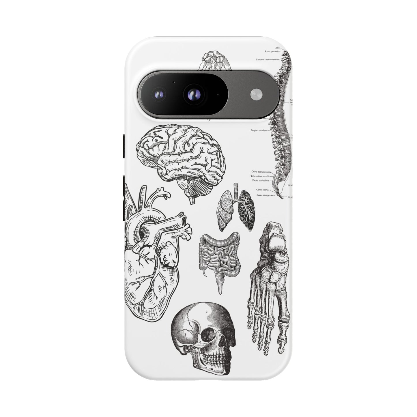 Anatomical Phone Case - Vintage Medical Illustration Case - Science Gift - Custom Medical Phone Cover - Custom Phone Cover - Medical Student