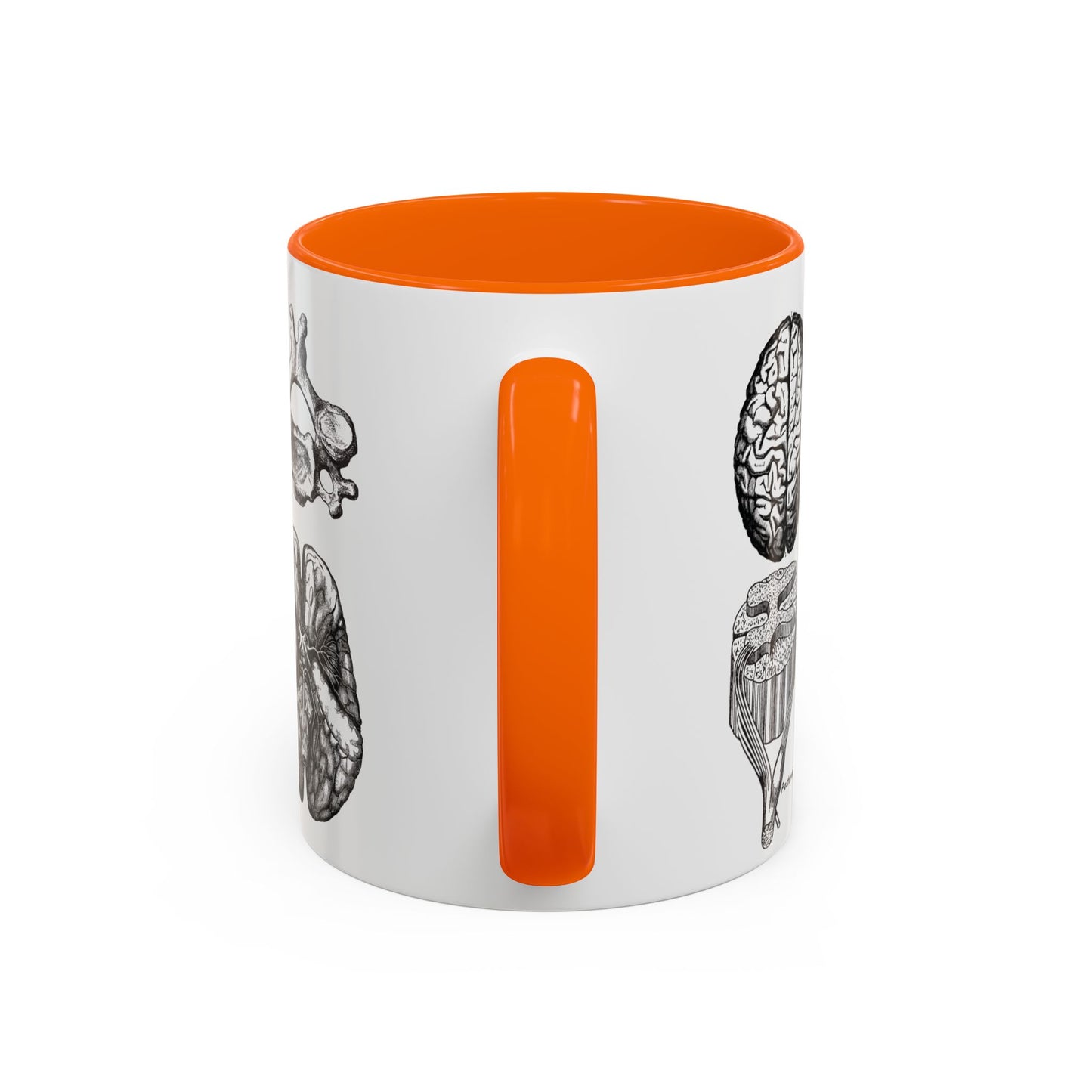 Neuro-Spine Mug, Anatomical Spine Illustration Cup, Neurosurgeon Gift Idea, Spine Surgery Mug, Doctor Appreciation, Medical Worker Gift