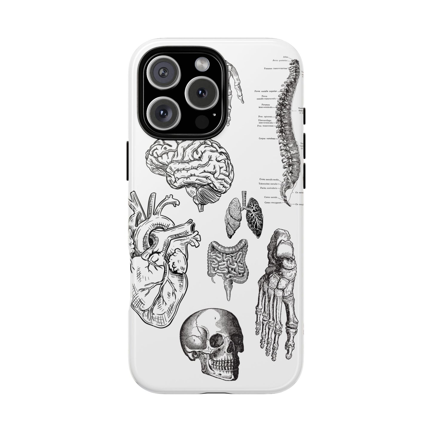 Anatomical Phone Case - Vintage Medical Illustration Case - Science Gift - Custom Medical Phone Cover - Custom Phone Cover - Medical Student