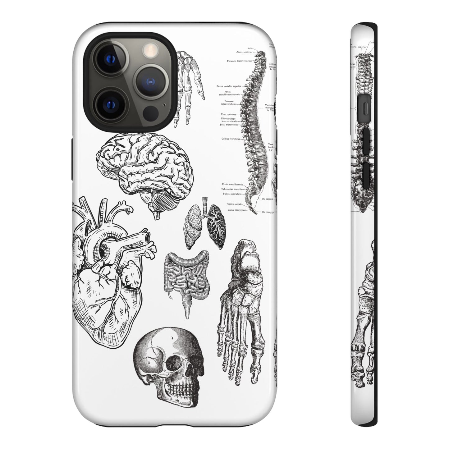 Anatomical Phone Case - Vintage Medical Illustration Case - Science Gift - Custom Medical Phone Cover - Custom Phone Cover - Medical Student