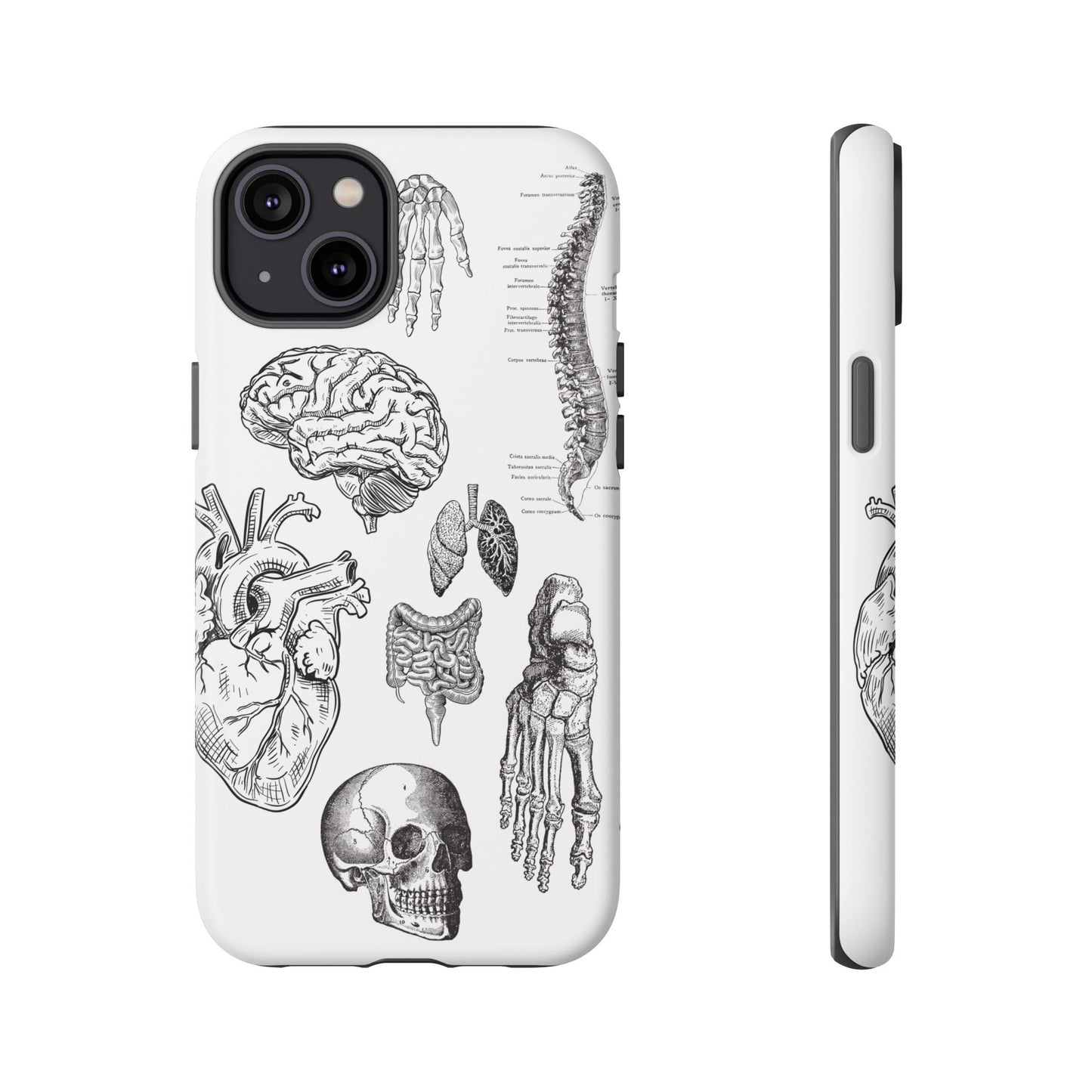 Anatomical Phone Case - Vintage Medical Illustration Case - Science Gift - Custom Medical Phone Cover - Custom Phone Cover - Medical Student