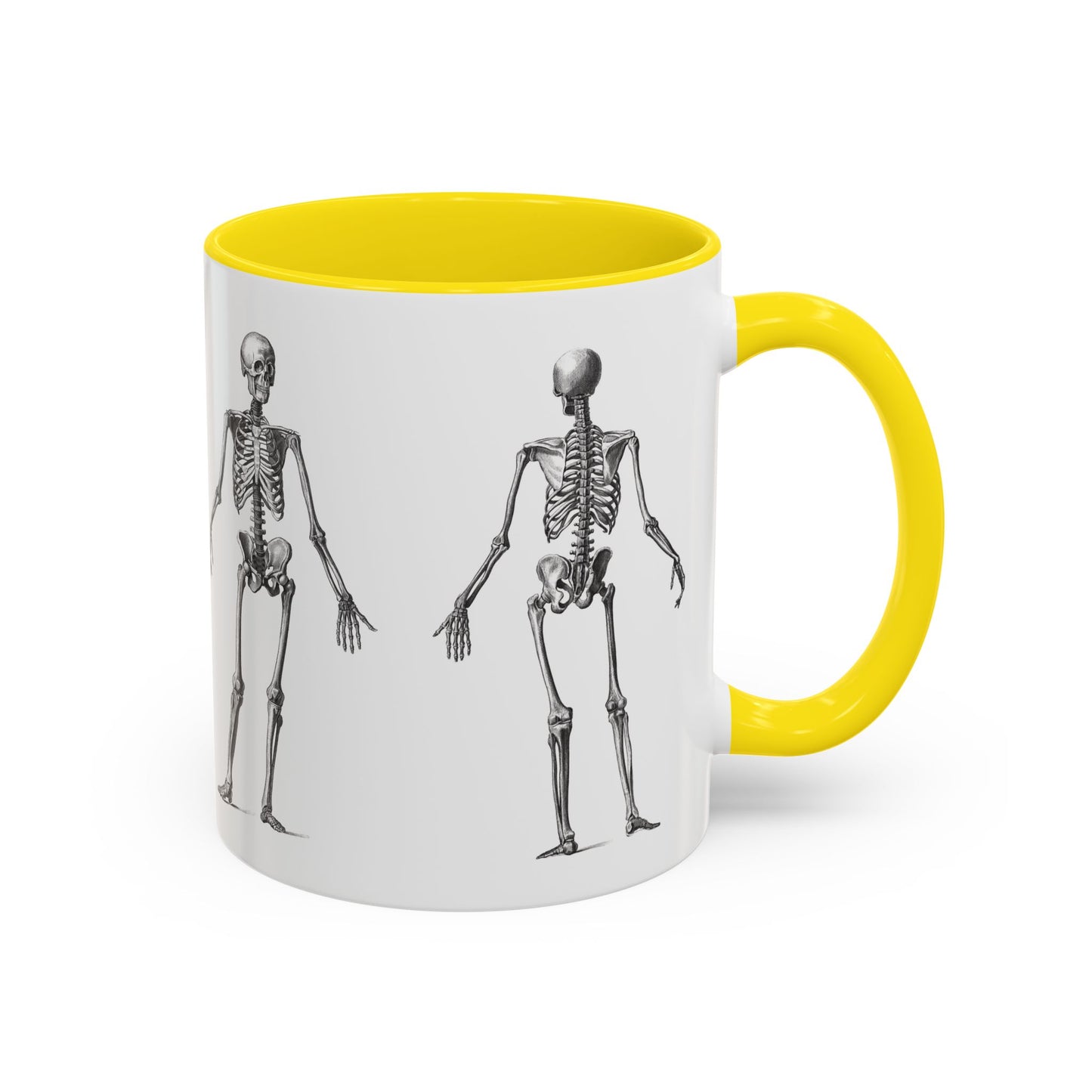 Anatomy Skeleton Accent Coffee Mug, Medical Student Doctor Nurse Gift, Anatomical Diagram, Halloween Mug, Biology Teacher Gift,