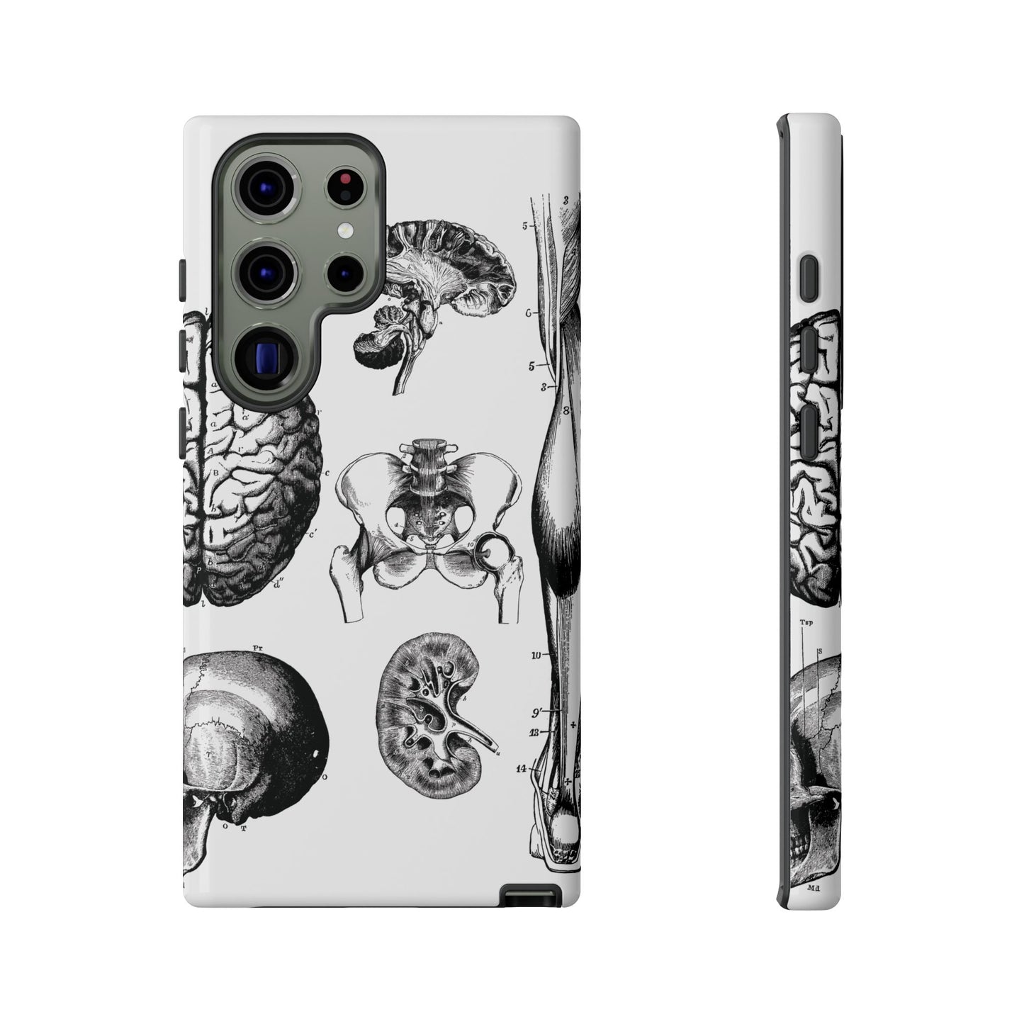Vintage Anatomy Phone Case - Medical Sketch Design - Custom iPhone, Samsung & Pixel Cover - Science Gift - Doctor Aesthetic - Anatomy case