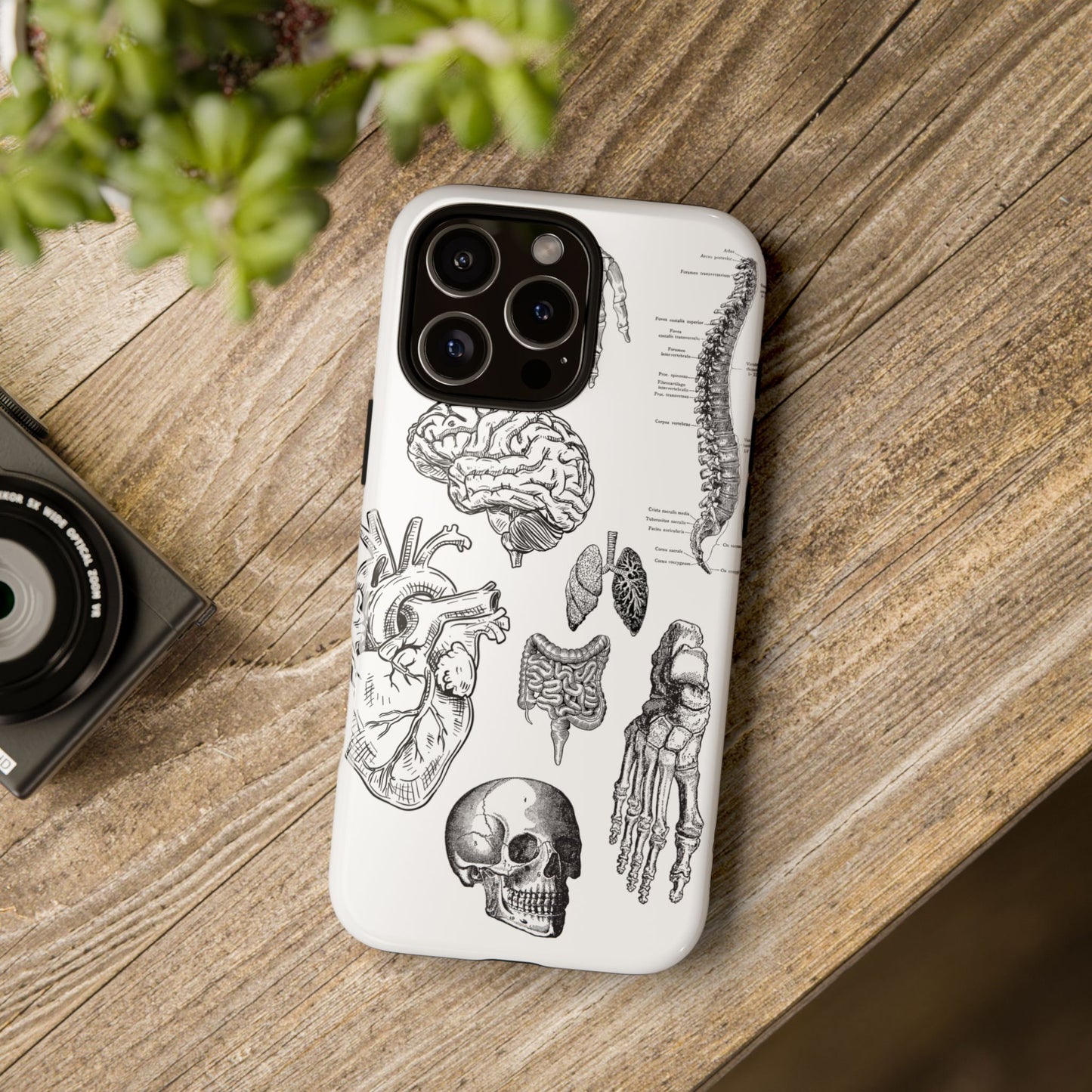 Anatomical Phone Case - Vintage Medical Illustration Case - Science Gift - Custom Medical Phone Cover - Custom Phone Cover - Medical Student