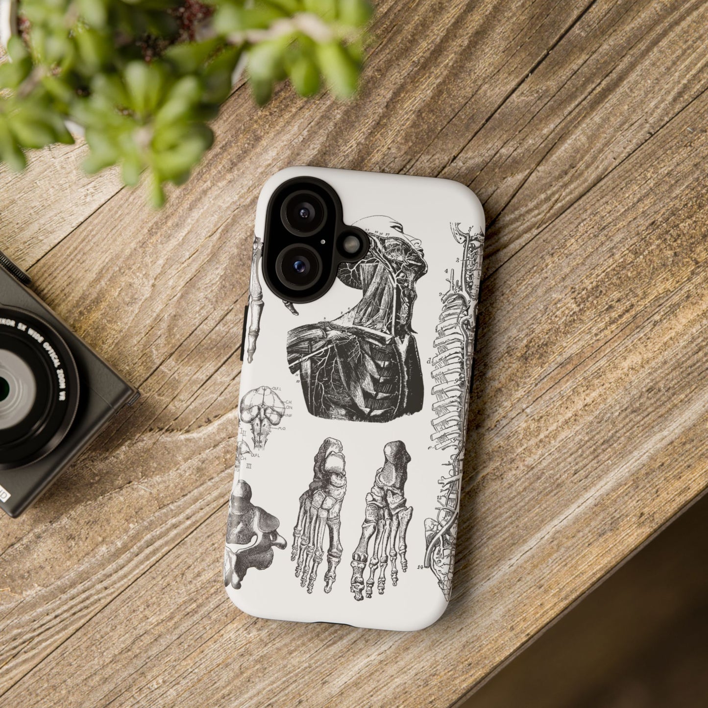 Vintage Anatomy Phone Case - Medical Illustration Design - Custom iPhone, Samsung & Pixel Cover - Science Gift - Doctor Aesthetic - Anatomy