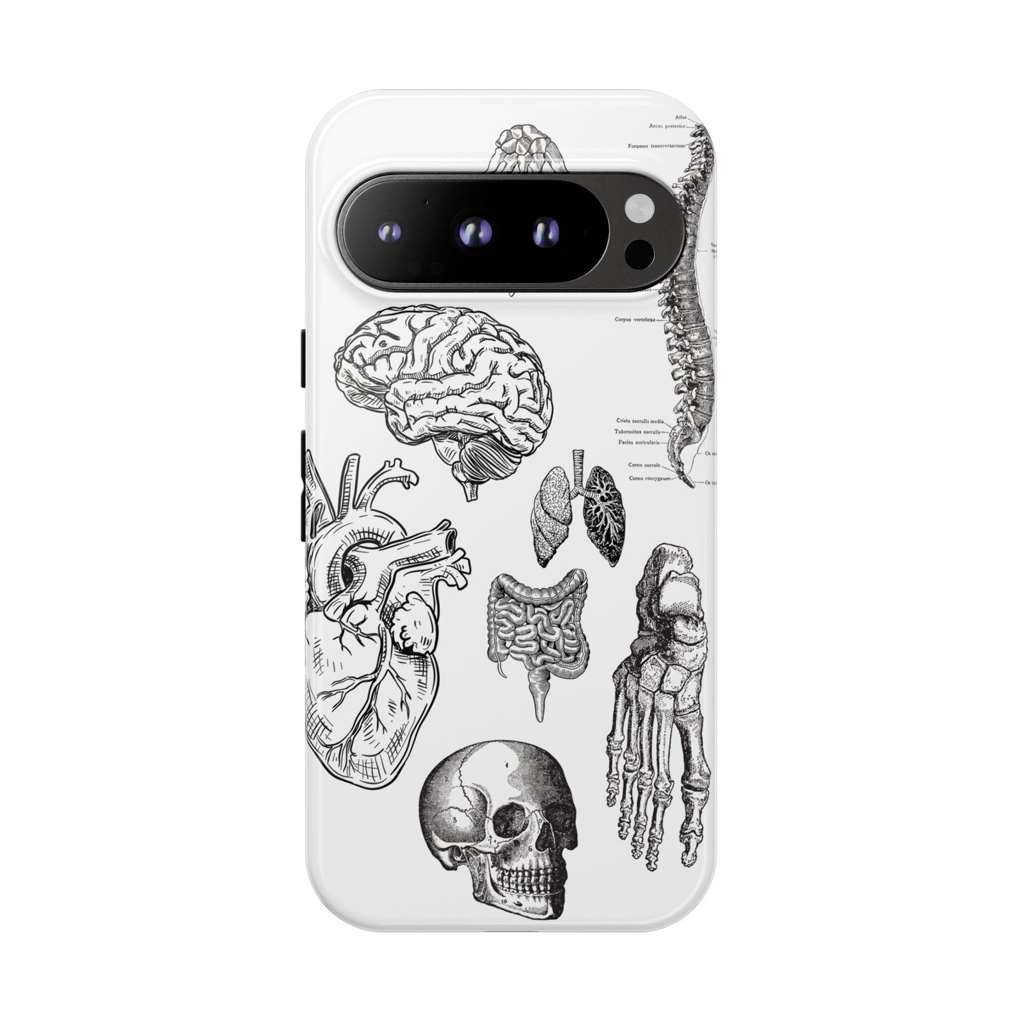 Anatomical Phone Case - Vintage Medical Illustration Case - Science Gift - Custom Medical Phone Cover - Custom Phone Cover - Medical Student