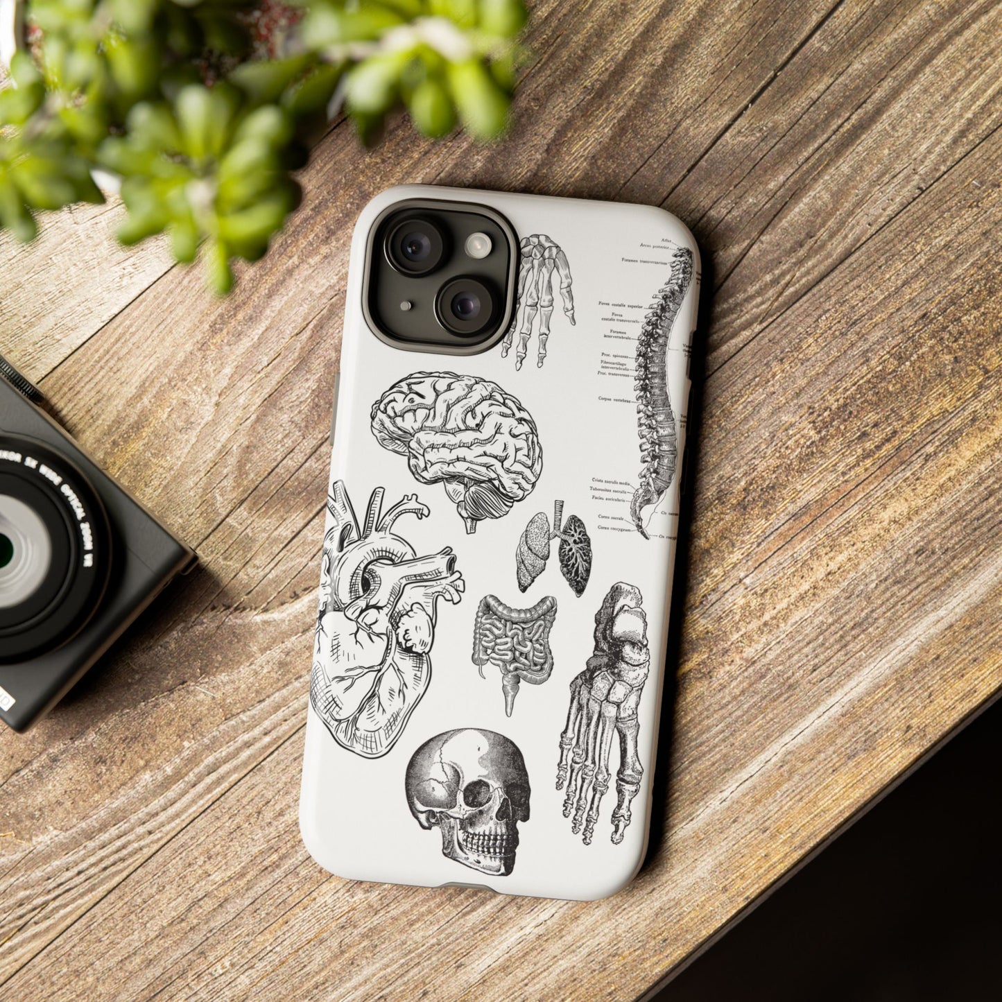 Anatomical Phone Case - Vintage Medical Illustration Case - Science Gift - Custom Medical Phone Cover - Custom Phone Cover - Medical Student