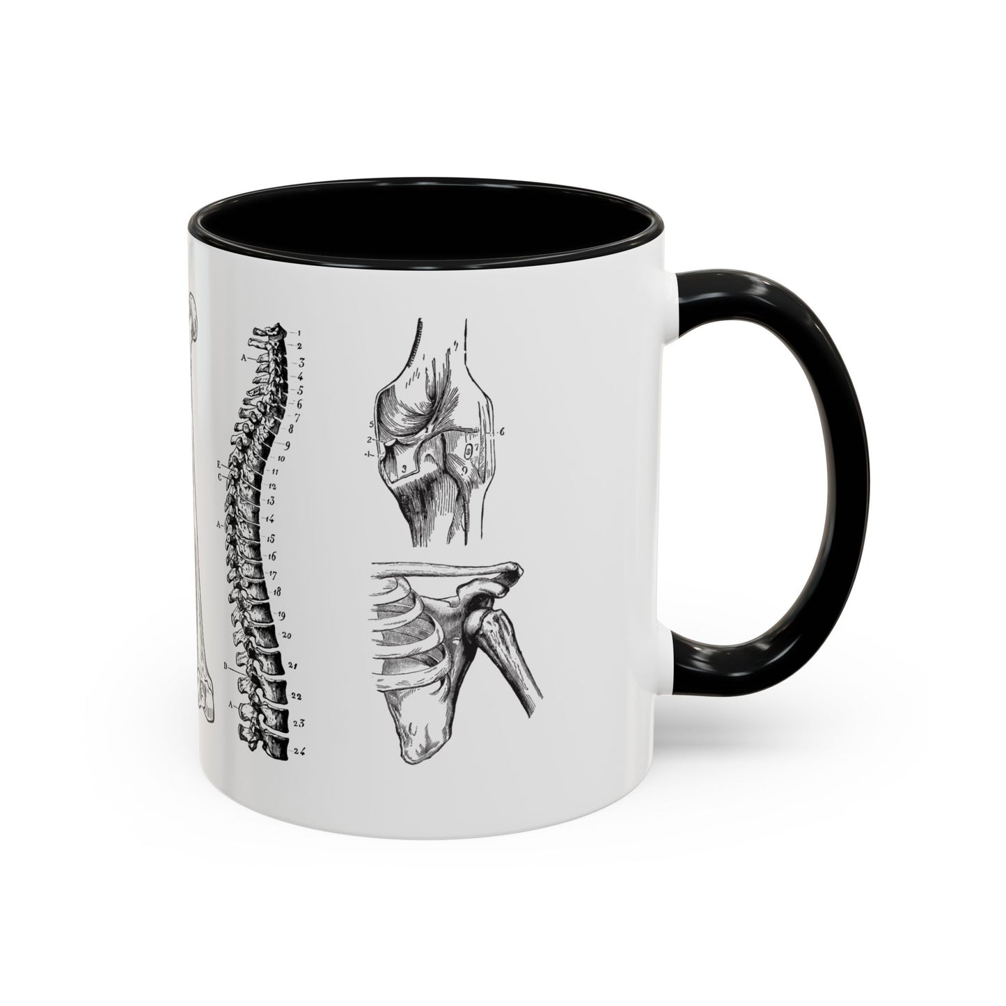 Orthopedic Surgery Mug, Bone Anatomy Coffee Cup, Orthopedist Gift Idea, Medical Anatomy Mug, Doctor Appreciation, Healthcare Worker Gift