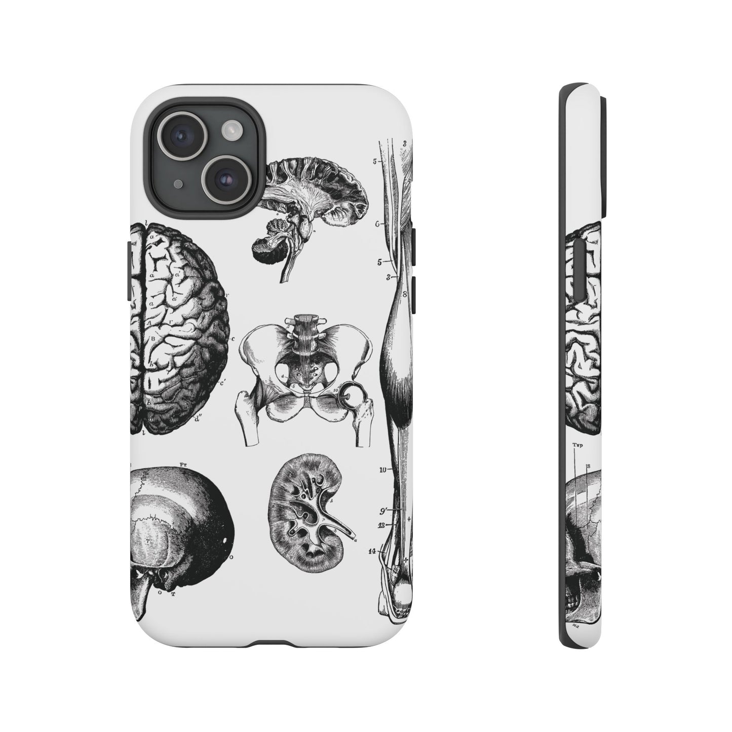 Vintage Anatomy Phone Case - Medical Sketch Design - Custom iPhone, Samsung & Pixel Cover - Science Gift - Doctor Aesthetic - Anatomy case