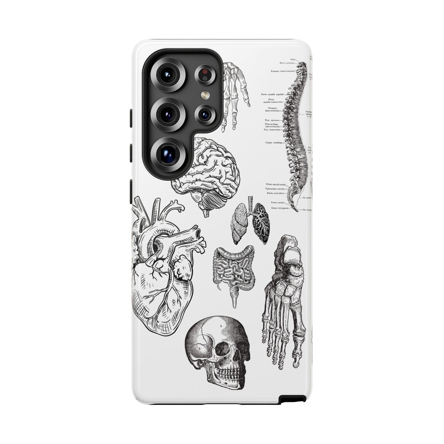 Anatomical Phone Case - Vintage Medical Illustration Case - Science Gift - Custom Medical Phone Cover - Custom Phone Cover - Medical Student