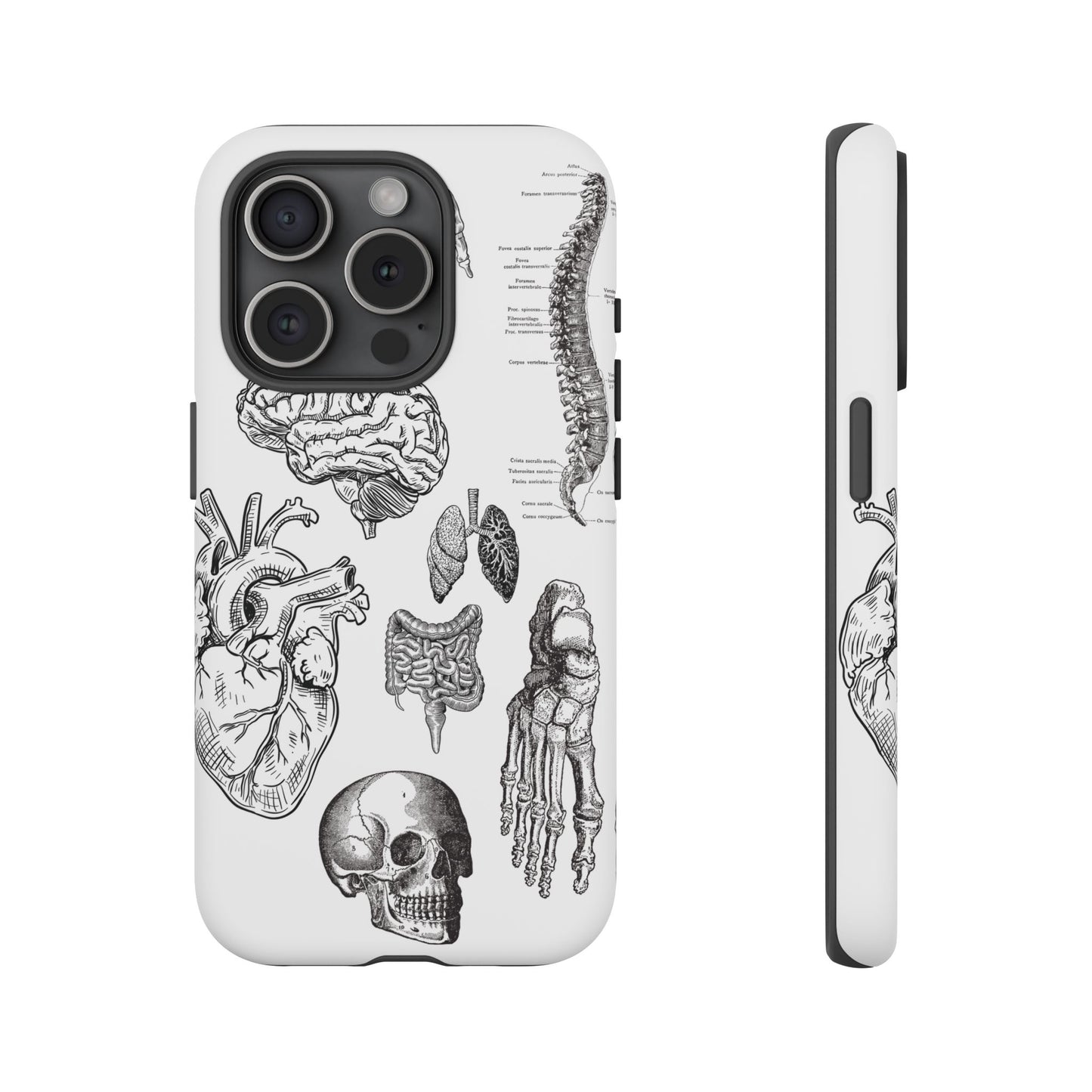 Anatomical Phone Case - Vintage Medical Illustration Case - Science Gift - Custom Medical Phone Cover - Custom Phone Cover - Medical Student