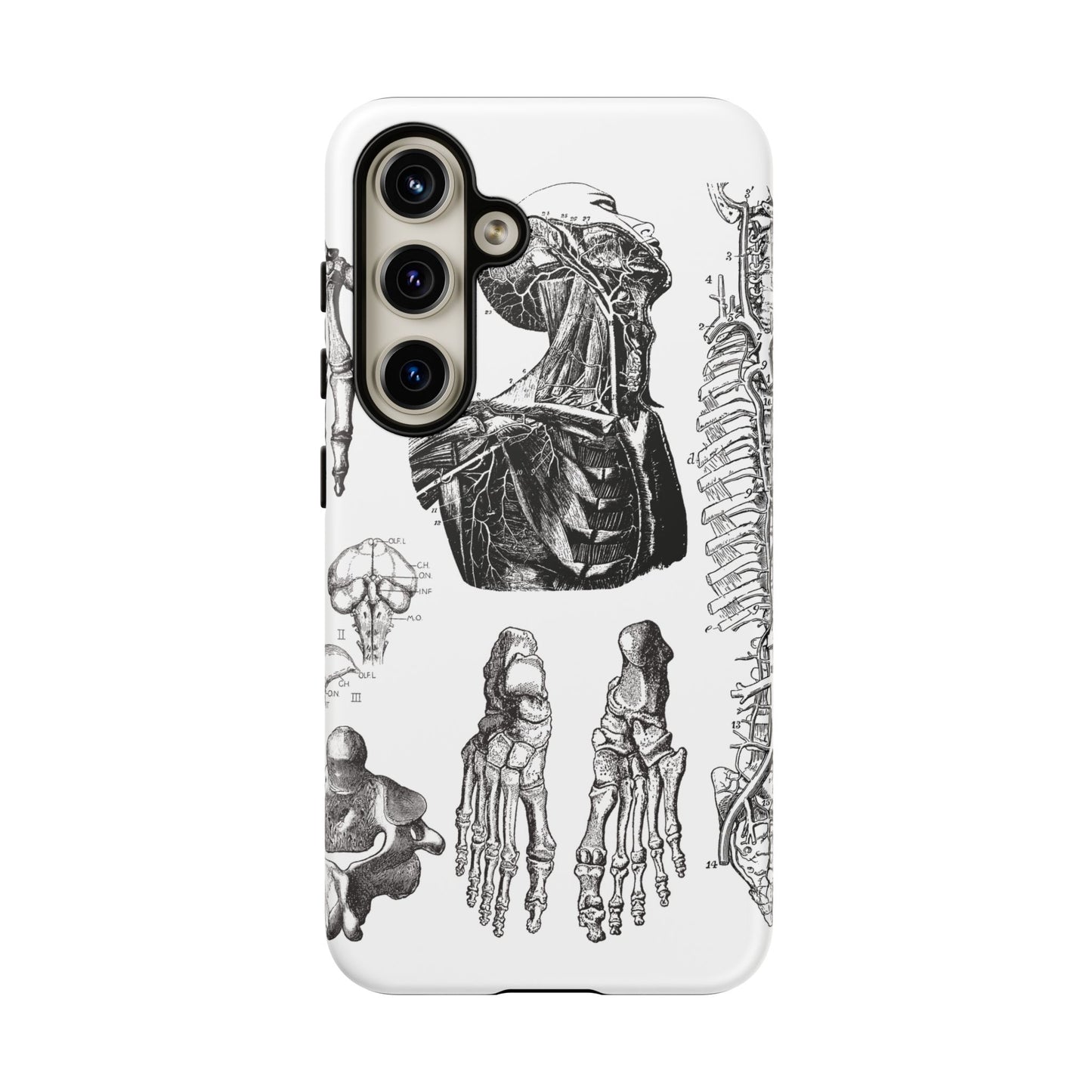 Vintage Anatomy Phone Case - Medical Illustration Design - Custom iPhone, Samsung & Pixel Cover - Science Gift - Doctor Aesthetic - Anatomy