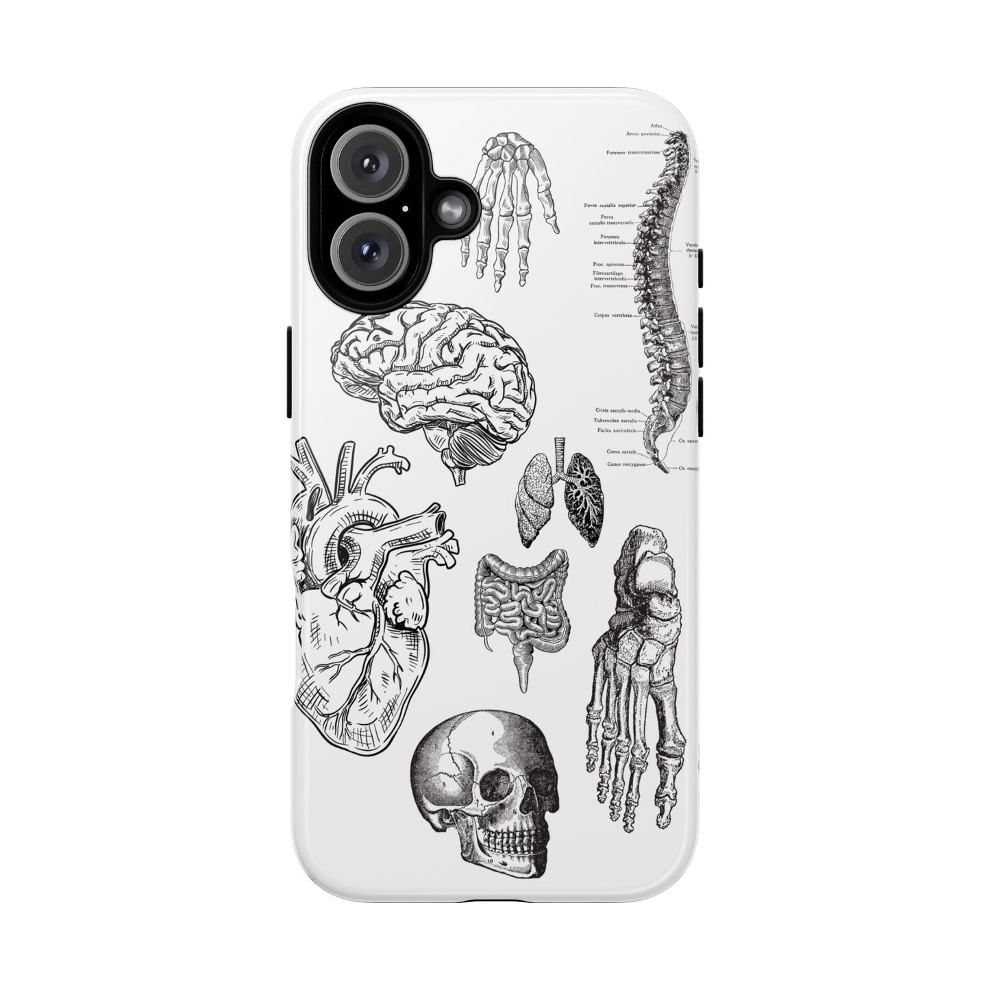 Anatomical Phone Case - Vintage Medical Illustration Case - Science Gift - Custom Medical Phone Cover - Custom Phone Cover - Medical Student