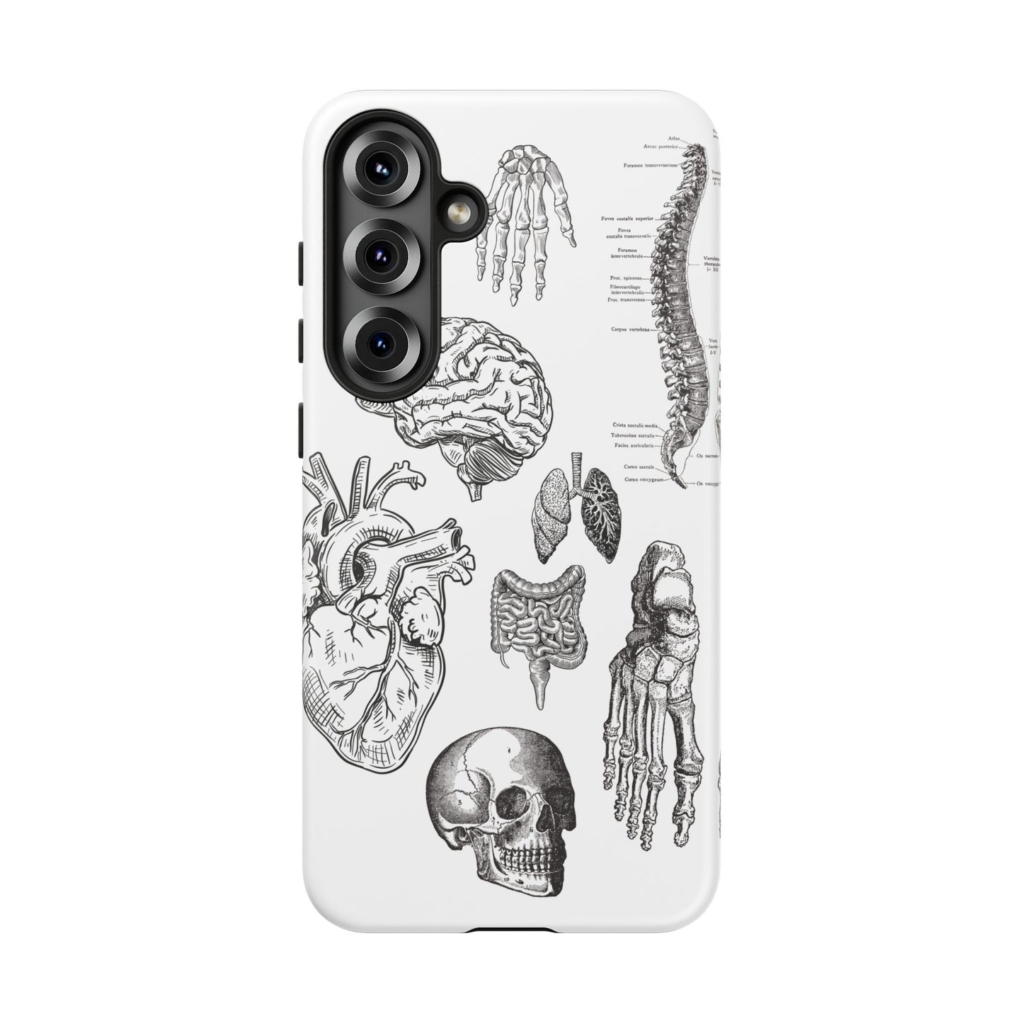 Anatomical Phone Case - Vintage Medical Illustration Case - Science Gift - Custom Medical Phone Cover - Custom Phone Cover - Medical Student