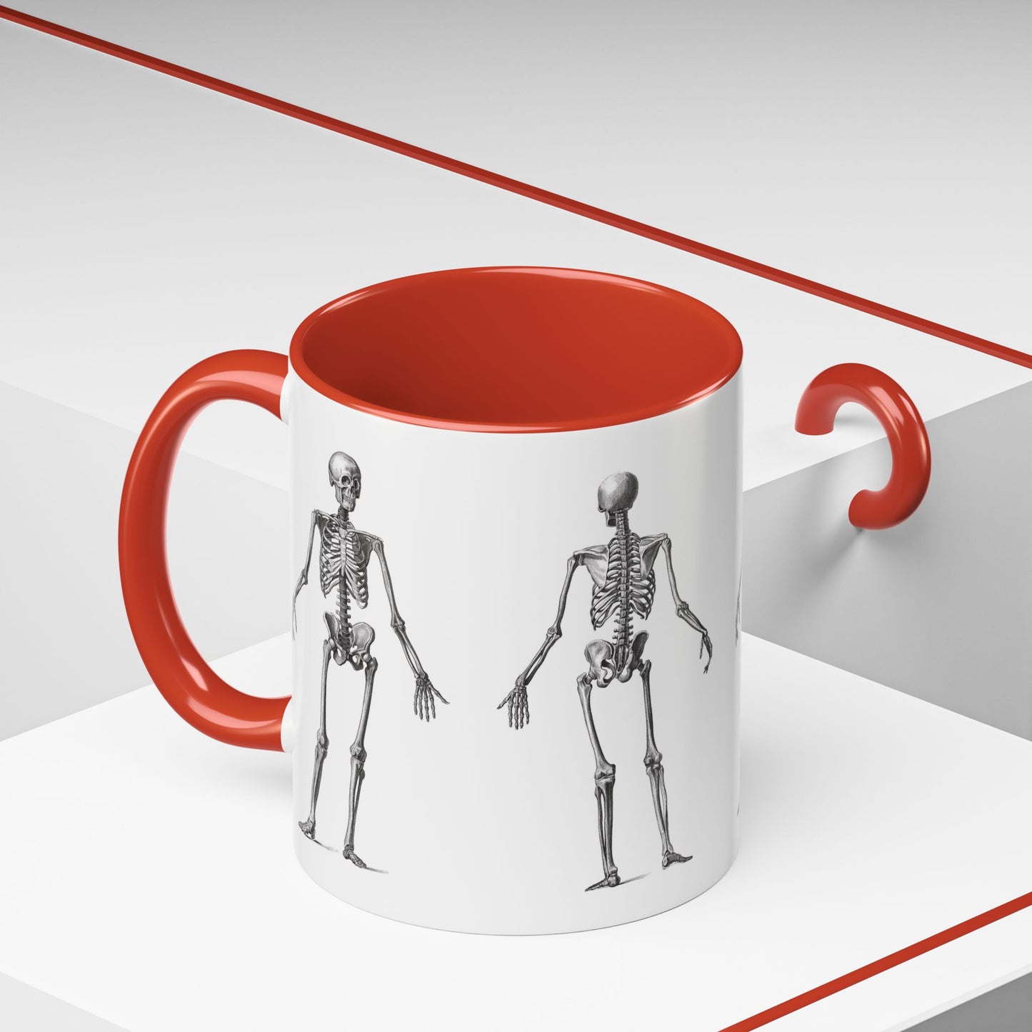 Anatomy Skeleton Accent Coffee Mug, Medical Student Doctor Nurse Gift, Anatomical Diagram, Halloween Mug, Biology Teacher Gift,