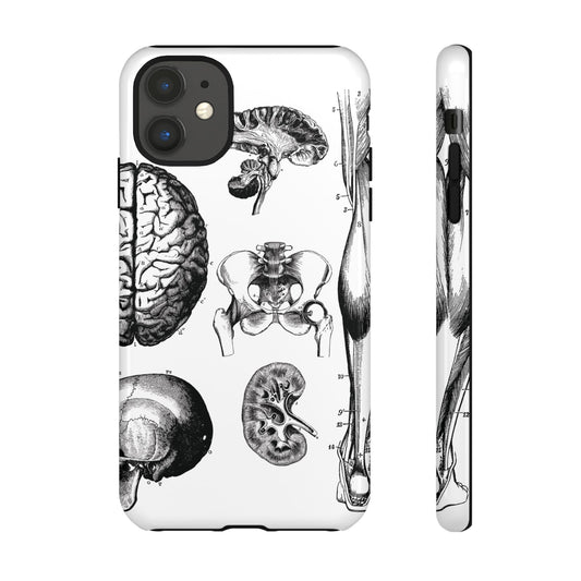 Vintage Anatomy Phone Case - Medical Sketch Design - Custom iPhone, Samsung & Pixel Cover - Science Gift - Doctor Aesthetic - Anatomy case