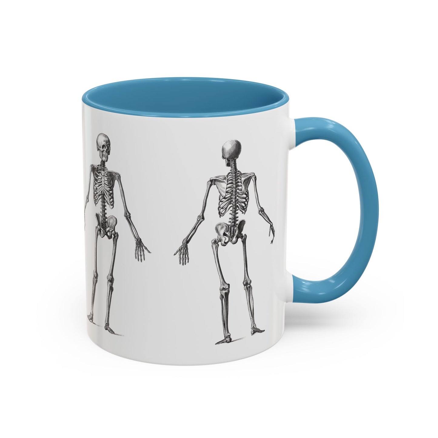 Anatomy Skeleton Accent Coffee Mug, Medical Student Doctor Nurse Gift, Anatomical Diagram, Halloween Mug, Biology Teacher Gift,