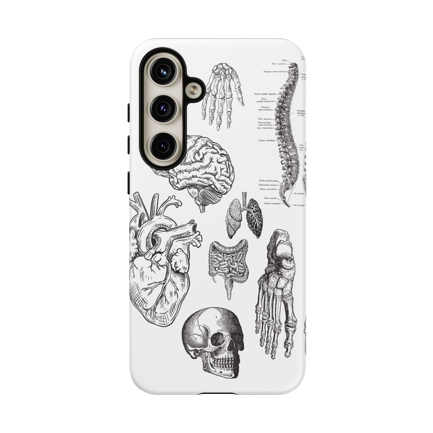 Anatomical Phone Case - Vintage Medical Illustration Case - Science Gift - Custom Medical Phone Cover - Custom Phone Cover - Medical Student