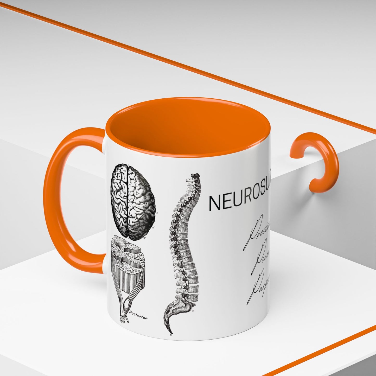 Neuro-Spine Mug, Anatomical Spine Illustration Cup, Neurosurgeon Gift Idea, Spine Surgery Mug, Doctor Appreciation, Medical Worker Gift