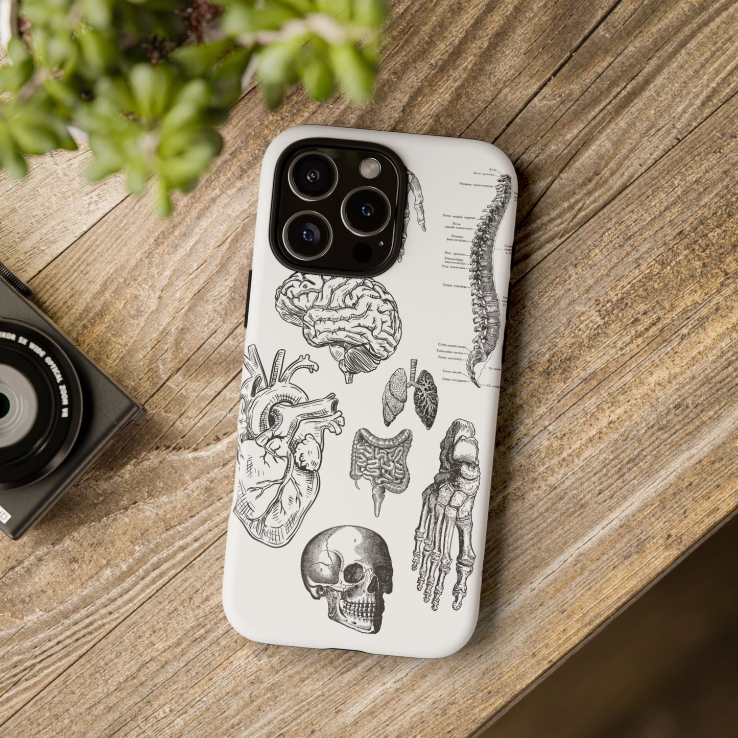 Anatomical Phone Case - Vintage Medical Illustration Case - Science Gift - Custom Medical Phone Cover - Custom Phone Cover - Medical Student